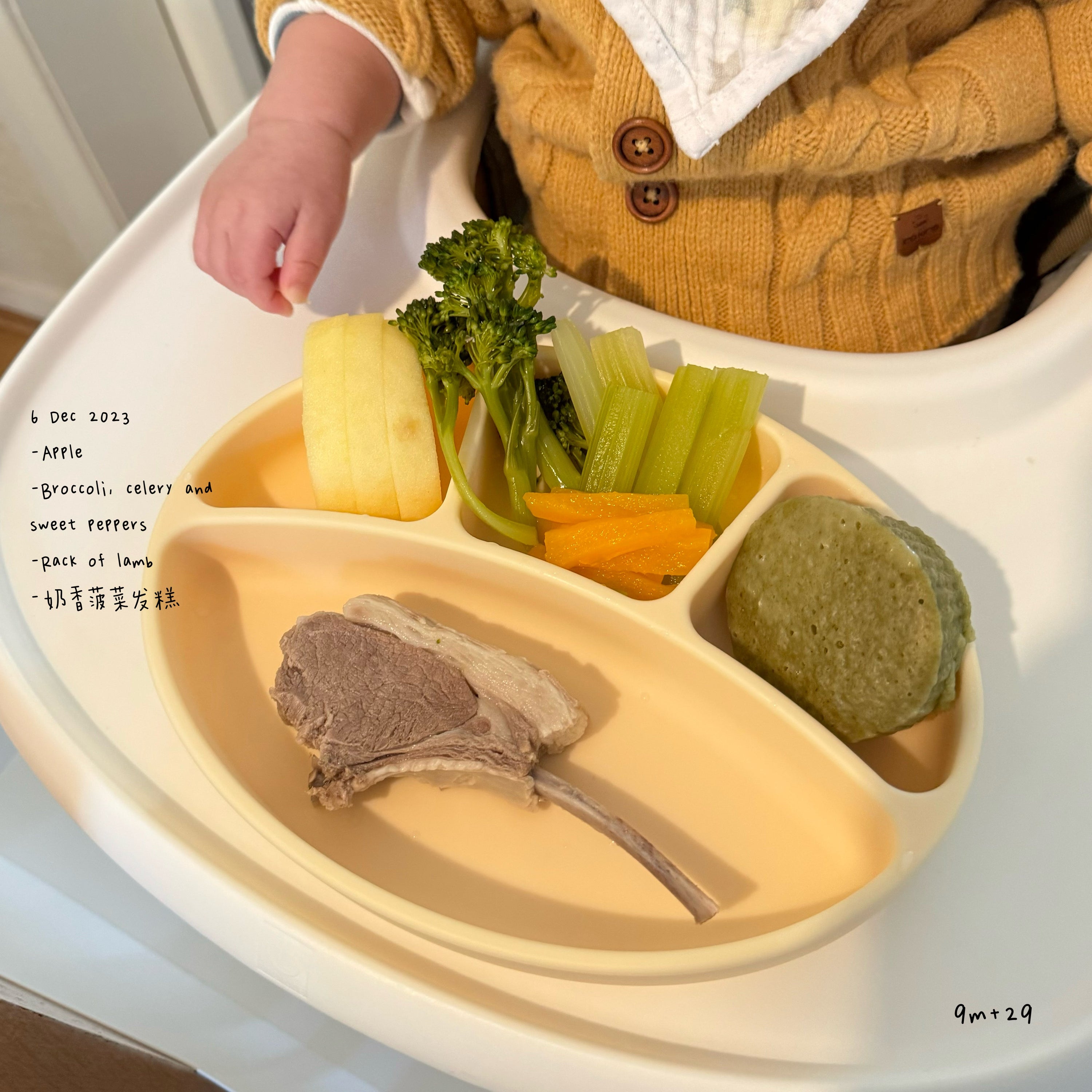 Loomie Daily Meal #26 - 9m Balanced Growth