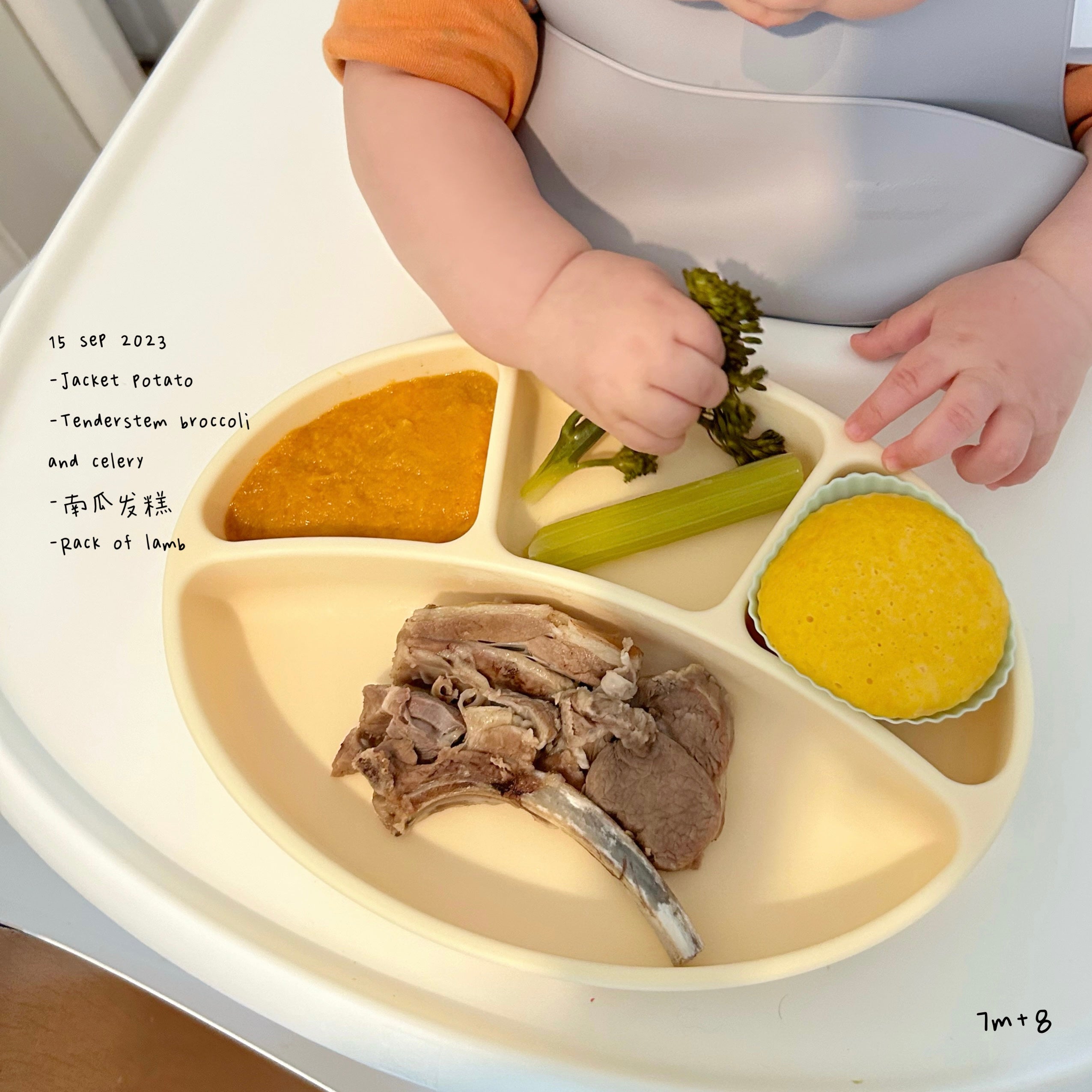 Loomie Daily Meal #09 - 7m+ First Taste of Lamb