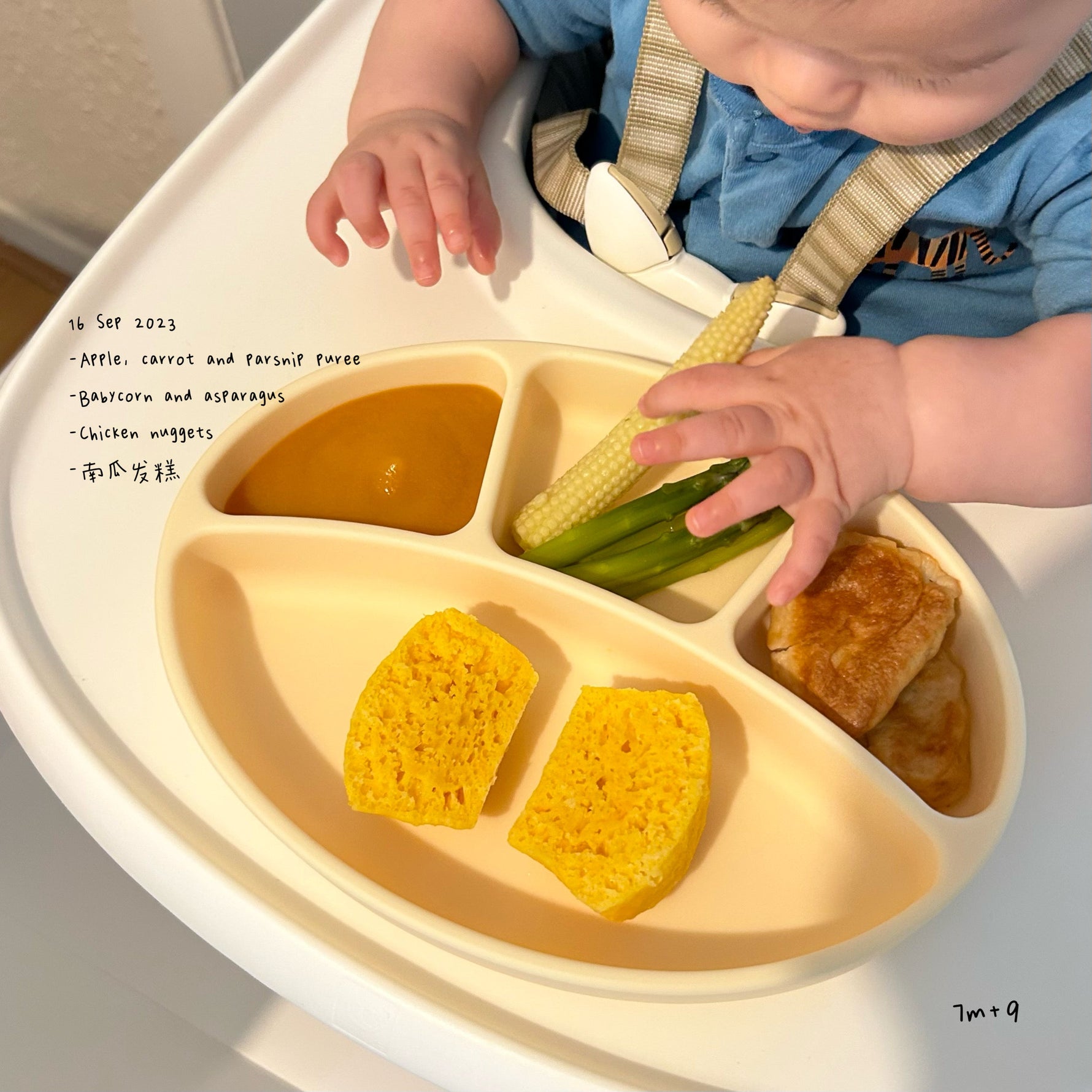 Loomie Daily Meal #10 - 7m+ Colourful & Comforting