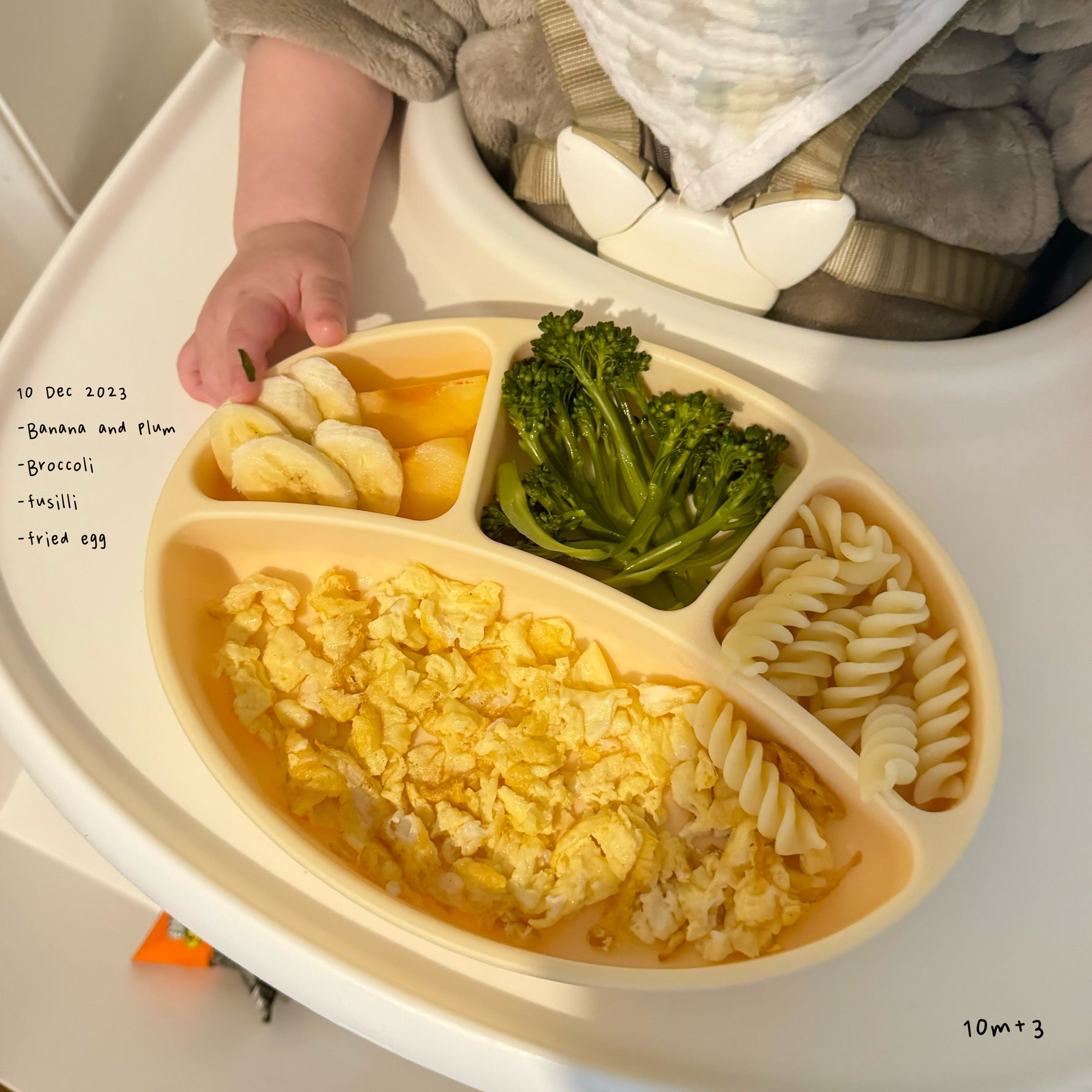 Loomie Daily Meal #02 - 10m Colorful Balance