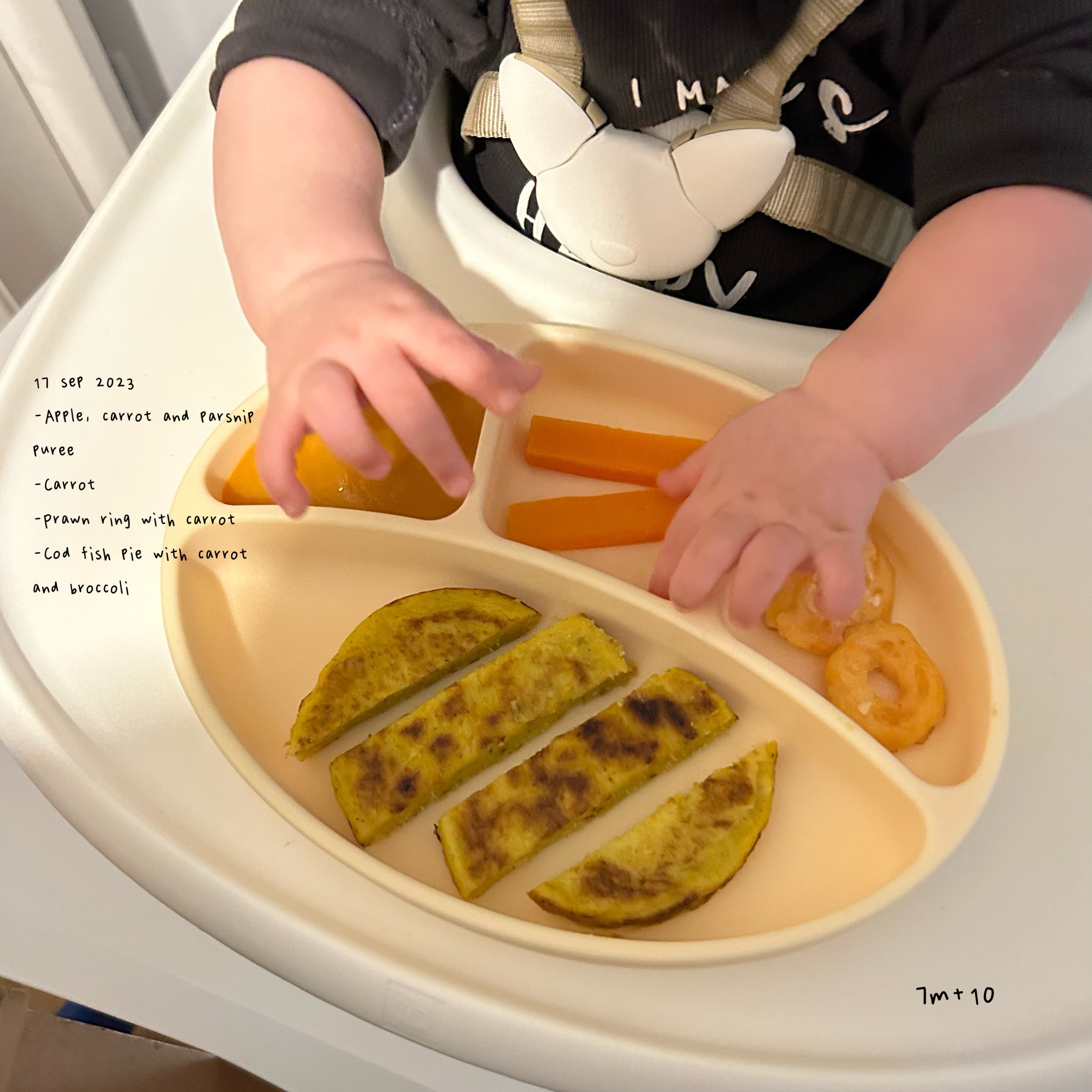 Loomie Daily Meal #11 - 7m+ Bright Bites & Balanced Energy