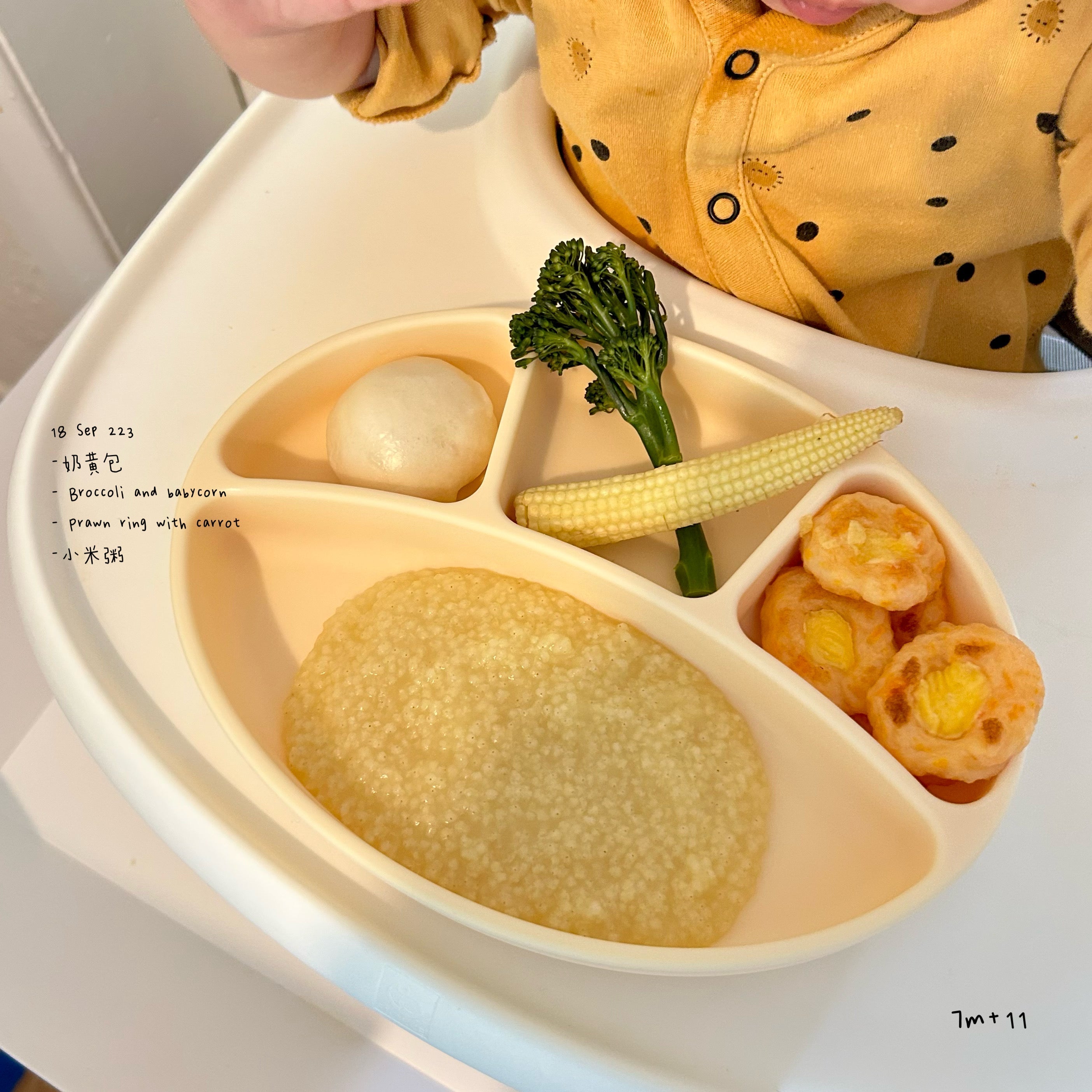 Loomie Daily Meal #12 - 7m+ Soft Textures & Gentle Flavours