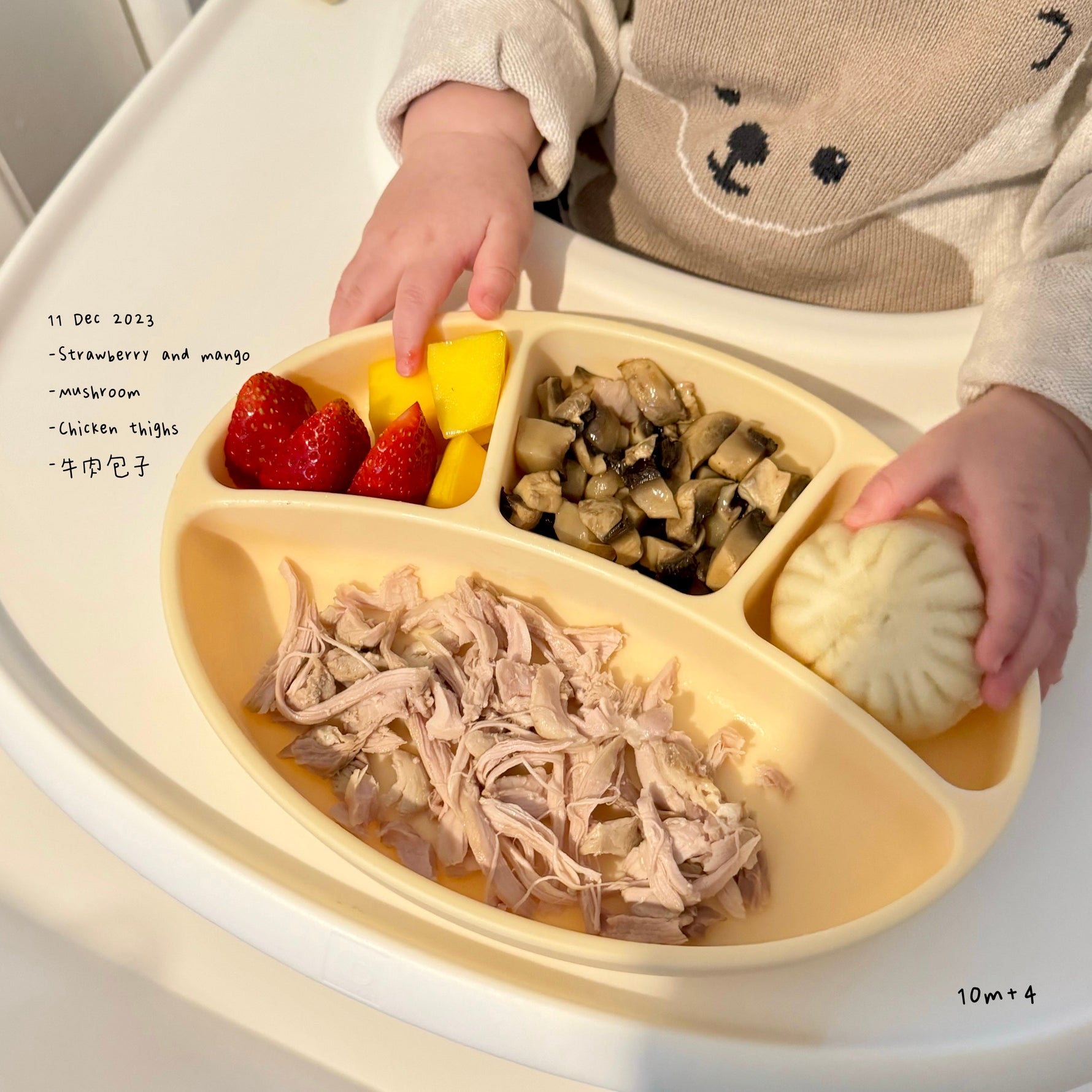 Loomie Daily Meal #03 - 10m Color & Comfort Bites