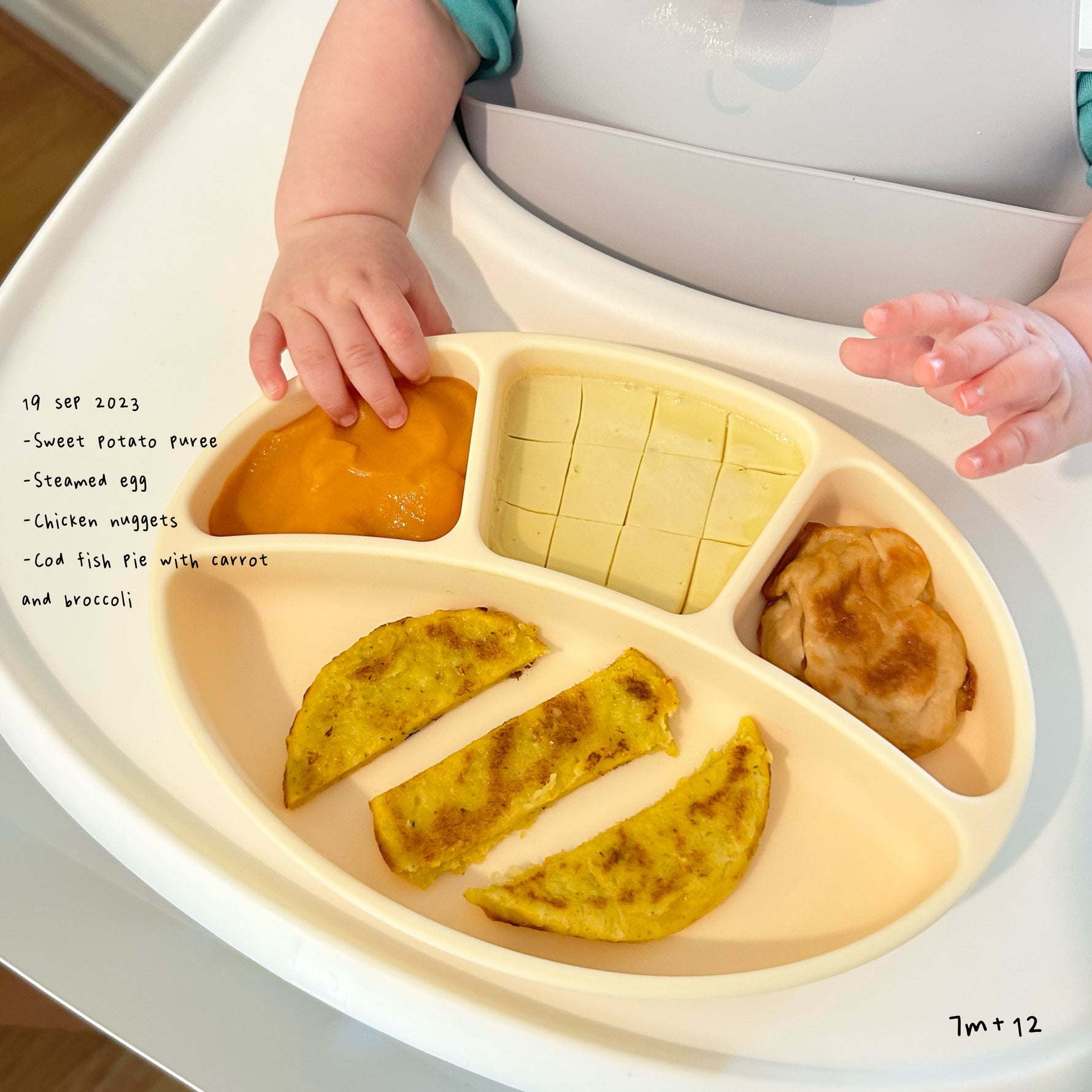 Loomie Daily Meal #13 - 7m+ Protein Power & Comfort Flavours