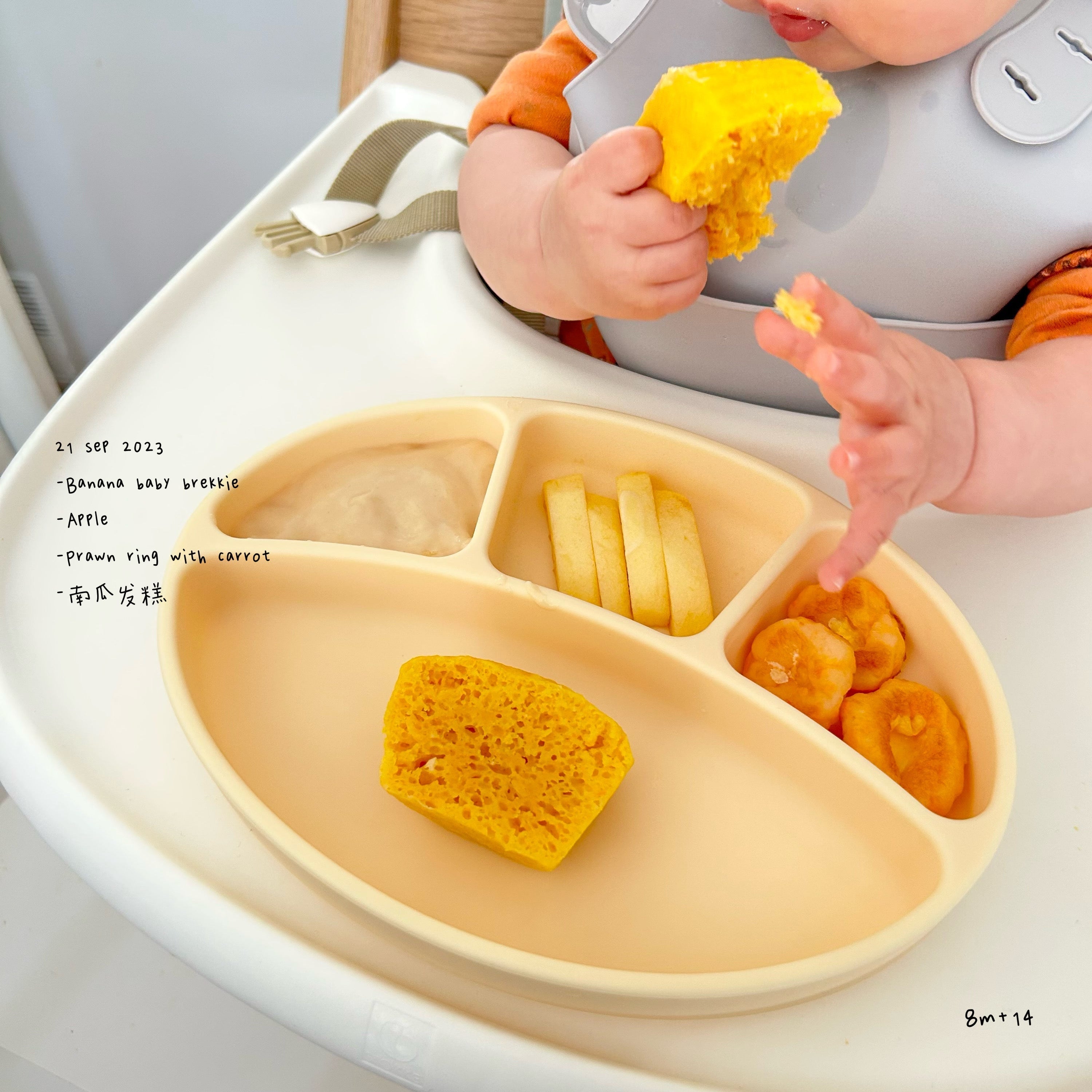 Loomie Daily Meal #14 - 7m+ Sweet Starts & Finger-Friendly Bites