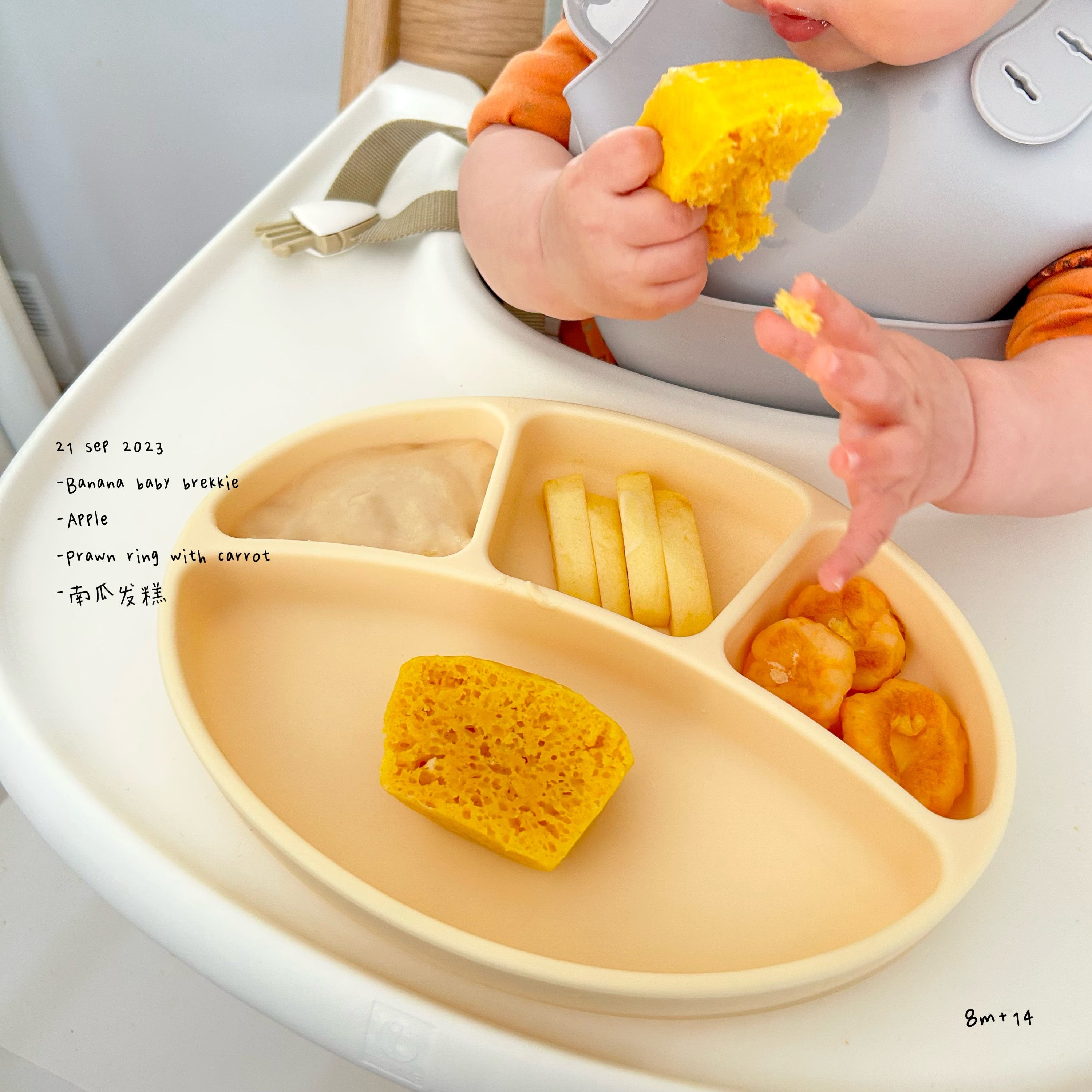 Loomie Daily Meal #14 - 7m+ Sweet Starts & Finger-Friendly Bites