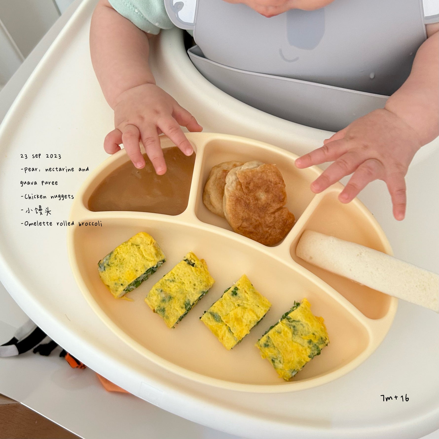 Loomie Daily Meal #15 - 7m+ Fruity Flavours &amp; Protein Picks