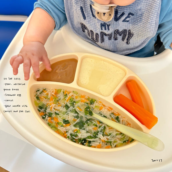 Loomie Daily Meal #16 - 7m+ Noodles, Veggies &amp; Gentle Textures