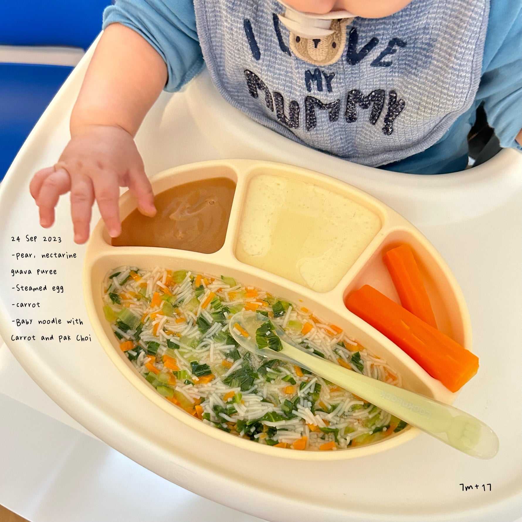 Loomie Daily Meal #16 - 7m+ Noodles, Veggies &amp; Gentle Textures