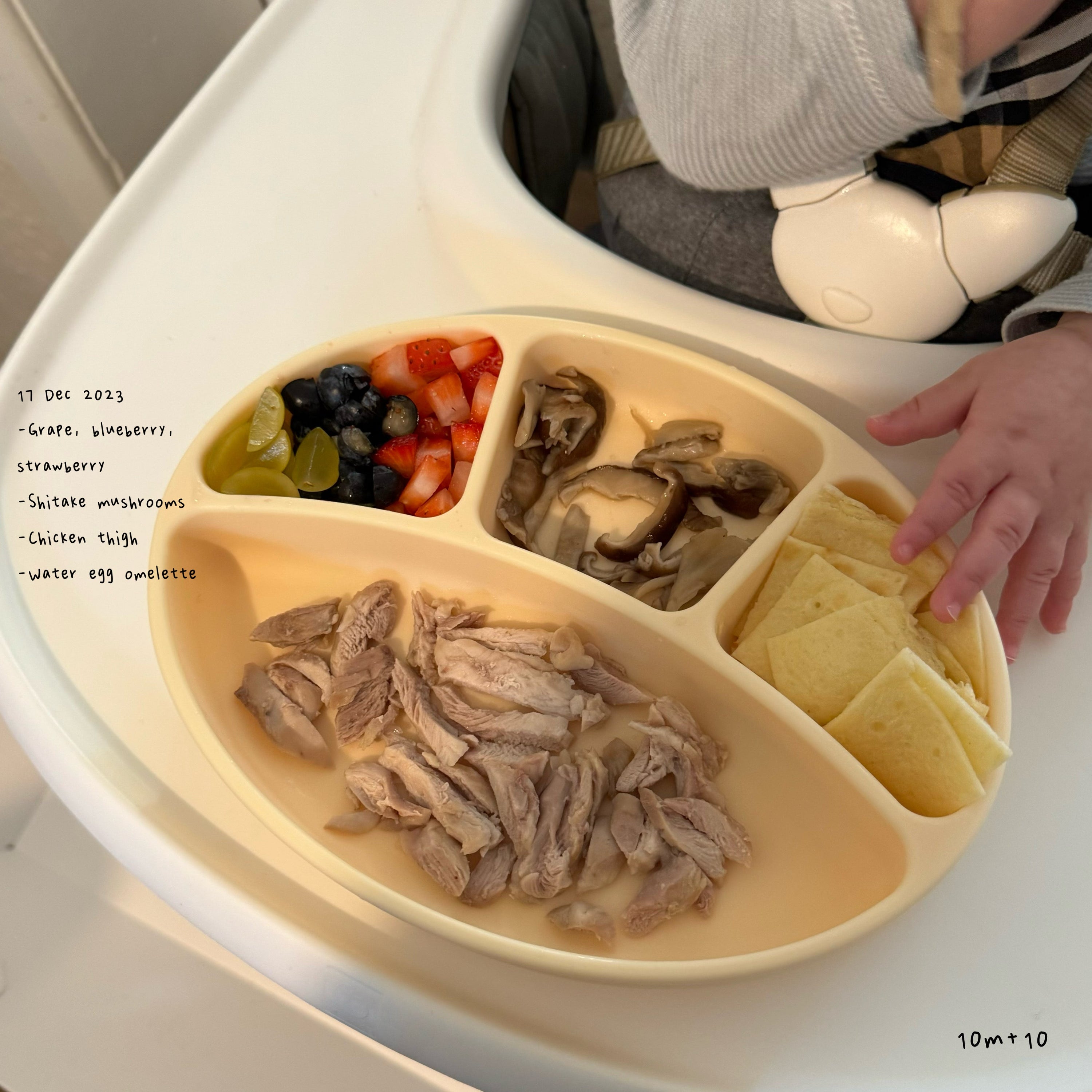 Loomie Daily Meal #04 - 10m Protein & Rainbow Plate