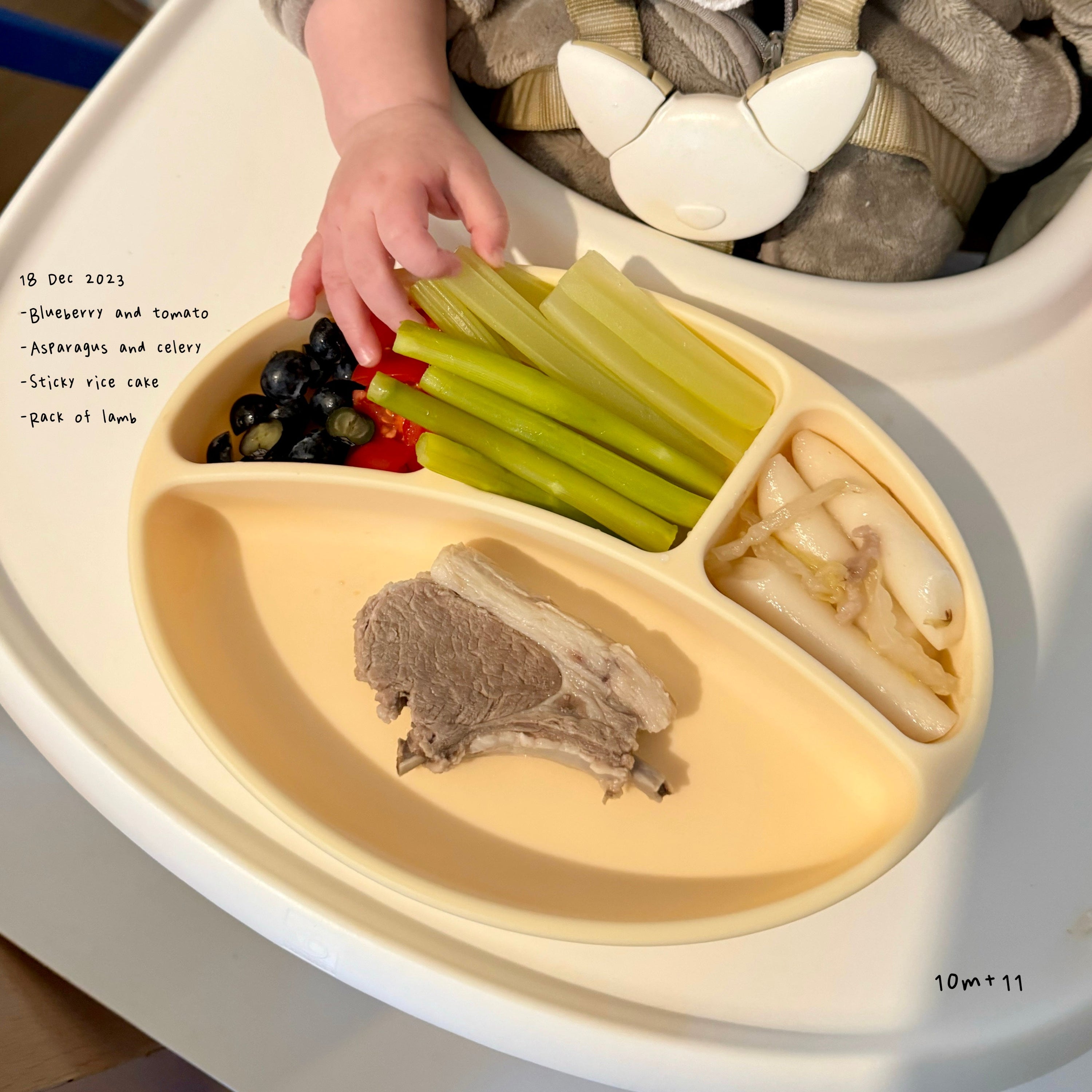 Loomie Daily Meal #06 - 10m Colorful Textures & Tastes