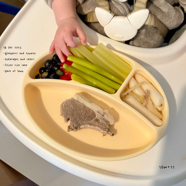 Loomie Daily Meal #06 - 10m Colorful Textures & Tastes