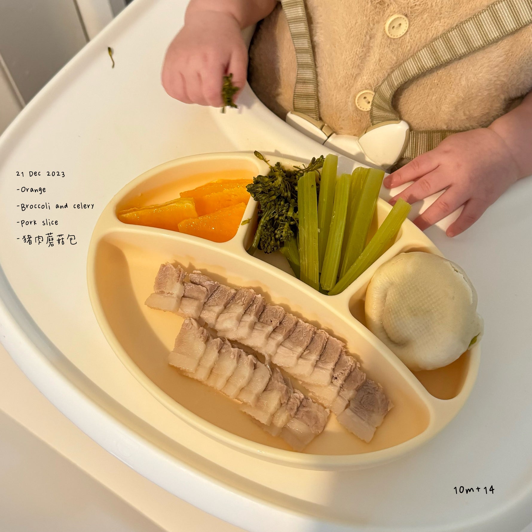 Loomie Daily Meal #08 - 10m Balanced Flavors & Soft Textures