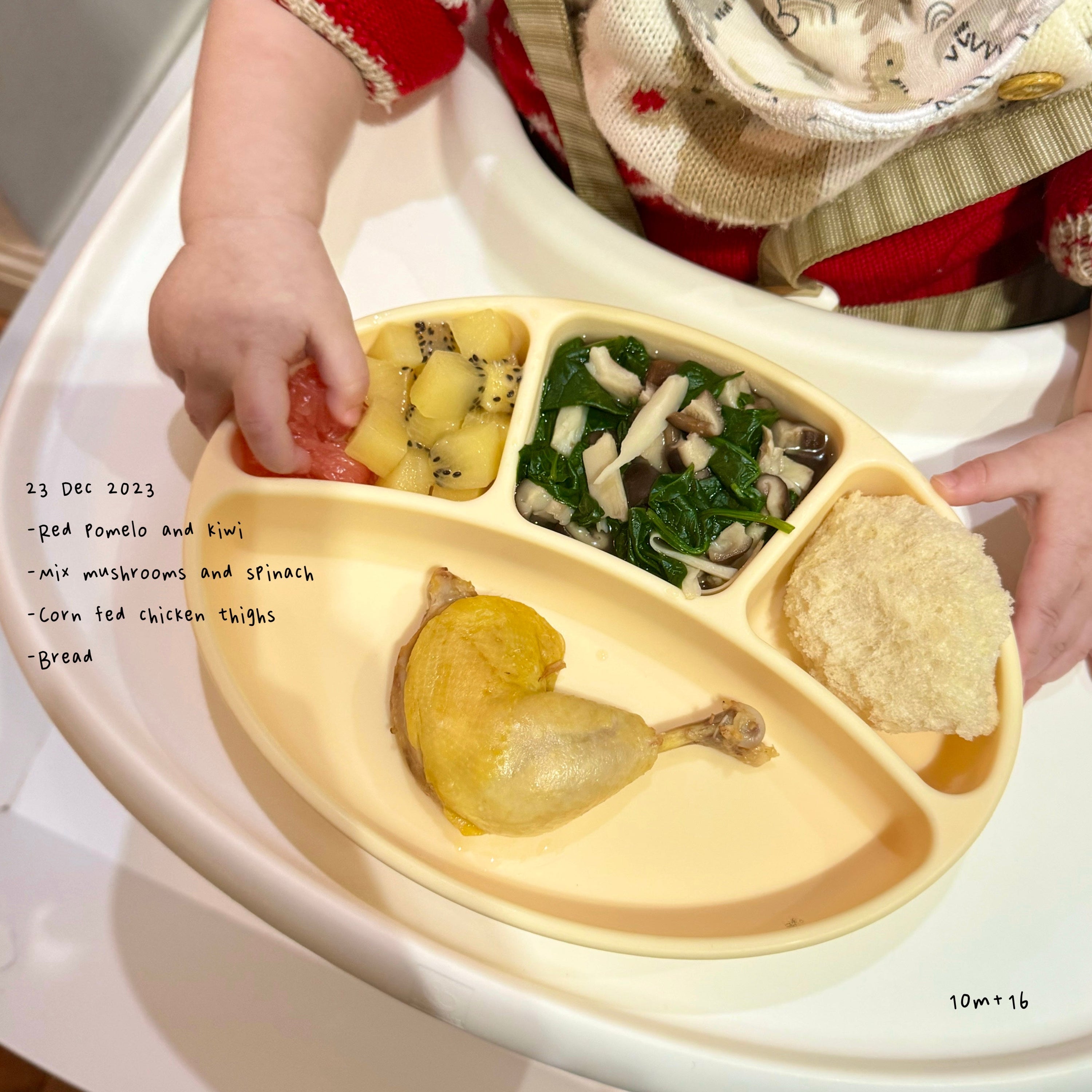 Loomie Daily Meal #09 - 10m Fresh Greens & Protein Power