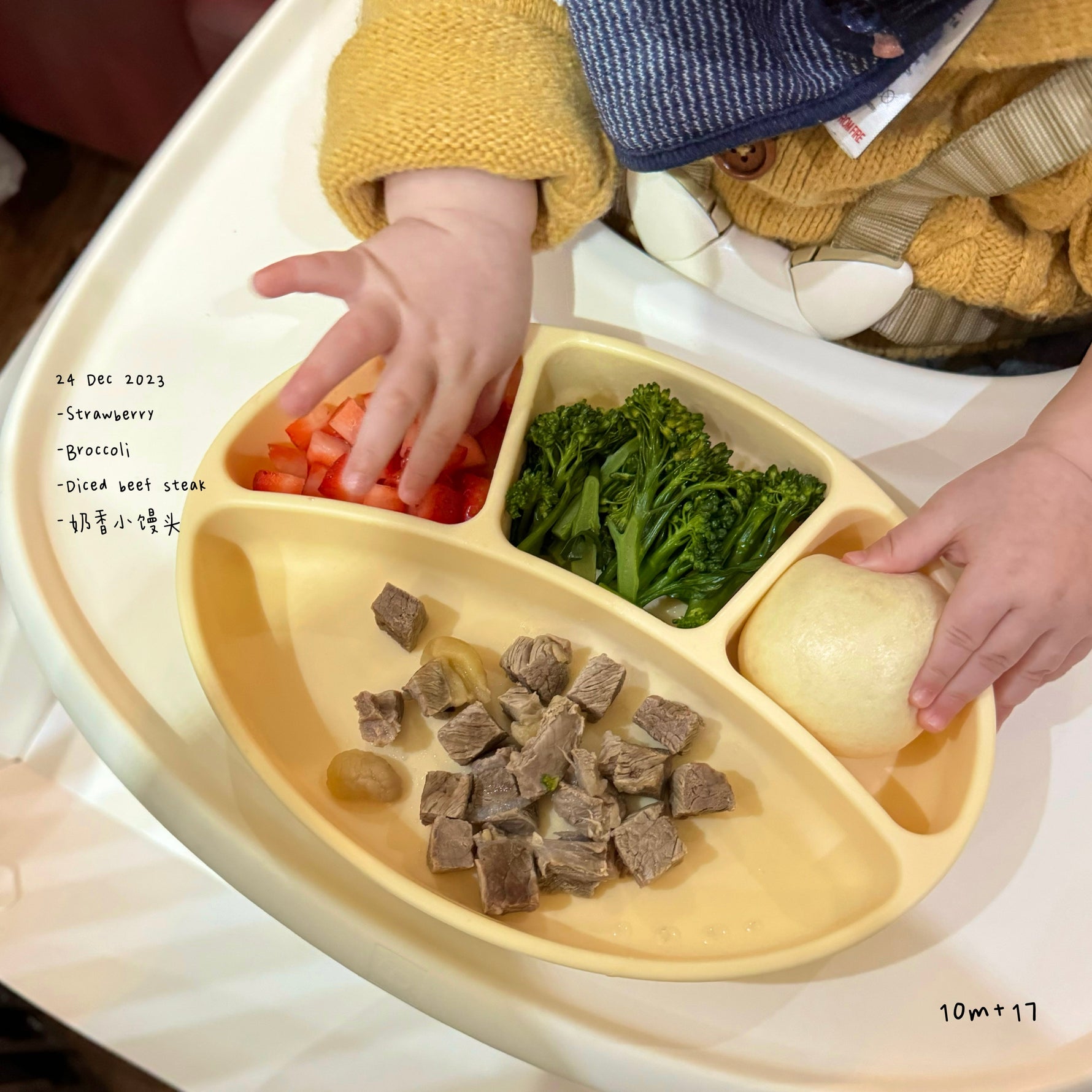 Loomie Daily Meal #10 - 10m Colorful Bites & Balanced Growth