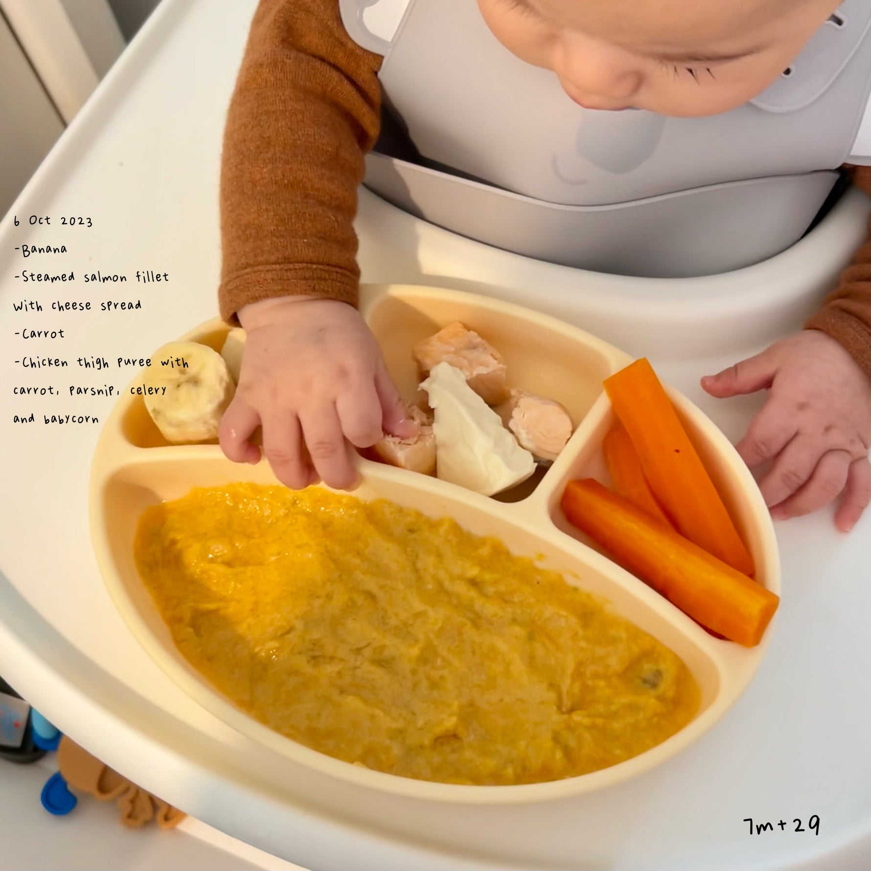 Loomie Daily Meal #18 - 7m+ Protein Variety & Veggie Boost