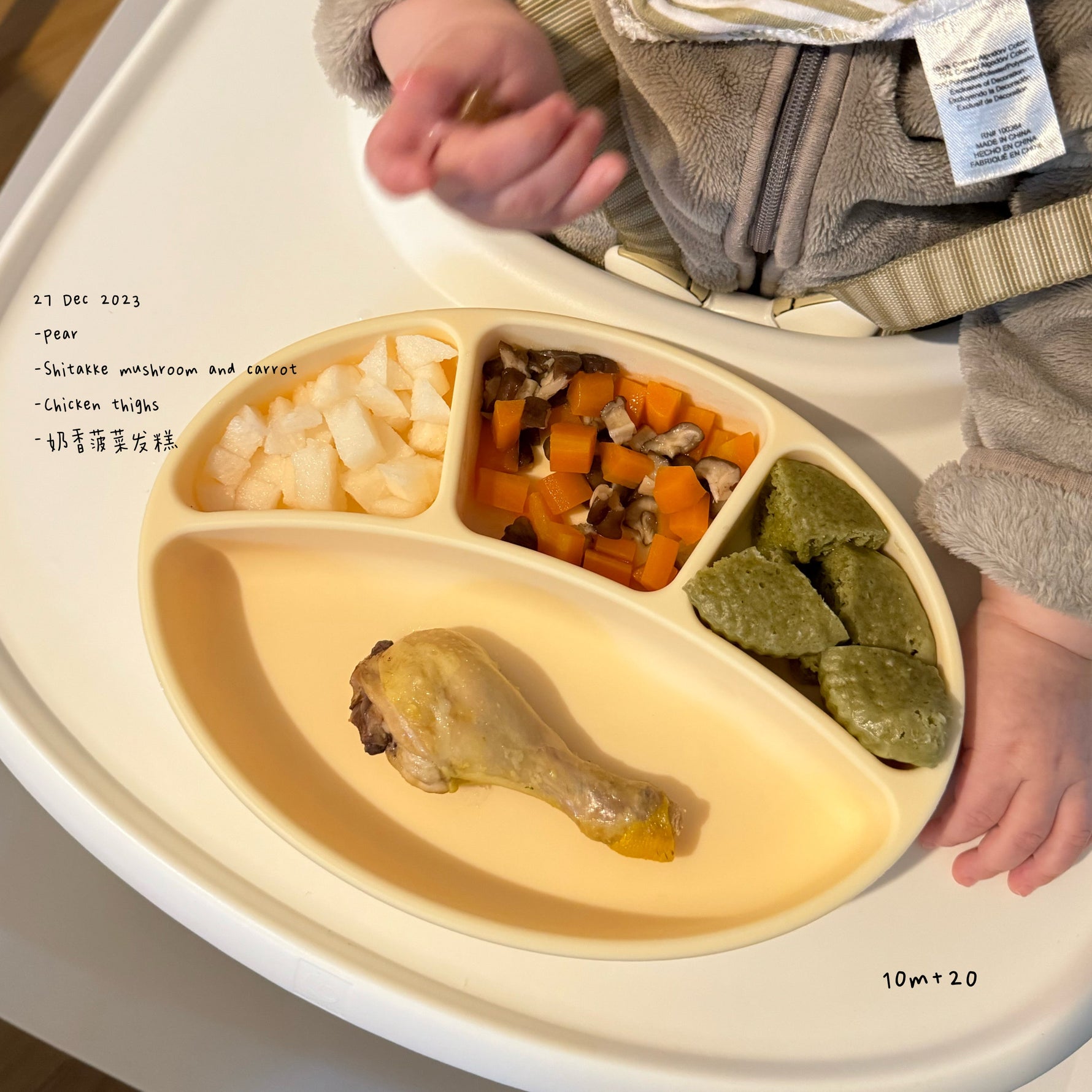 Loomie Daily Meal #12 – 10m Growing Plate