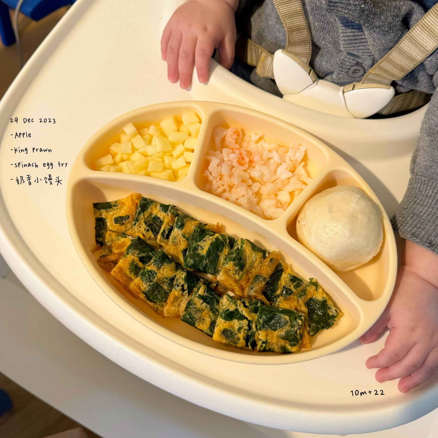 Loomie Daily Meal #14 – 10m Balanced Proteins & Veggie Goodness