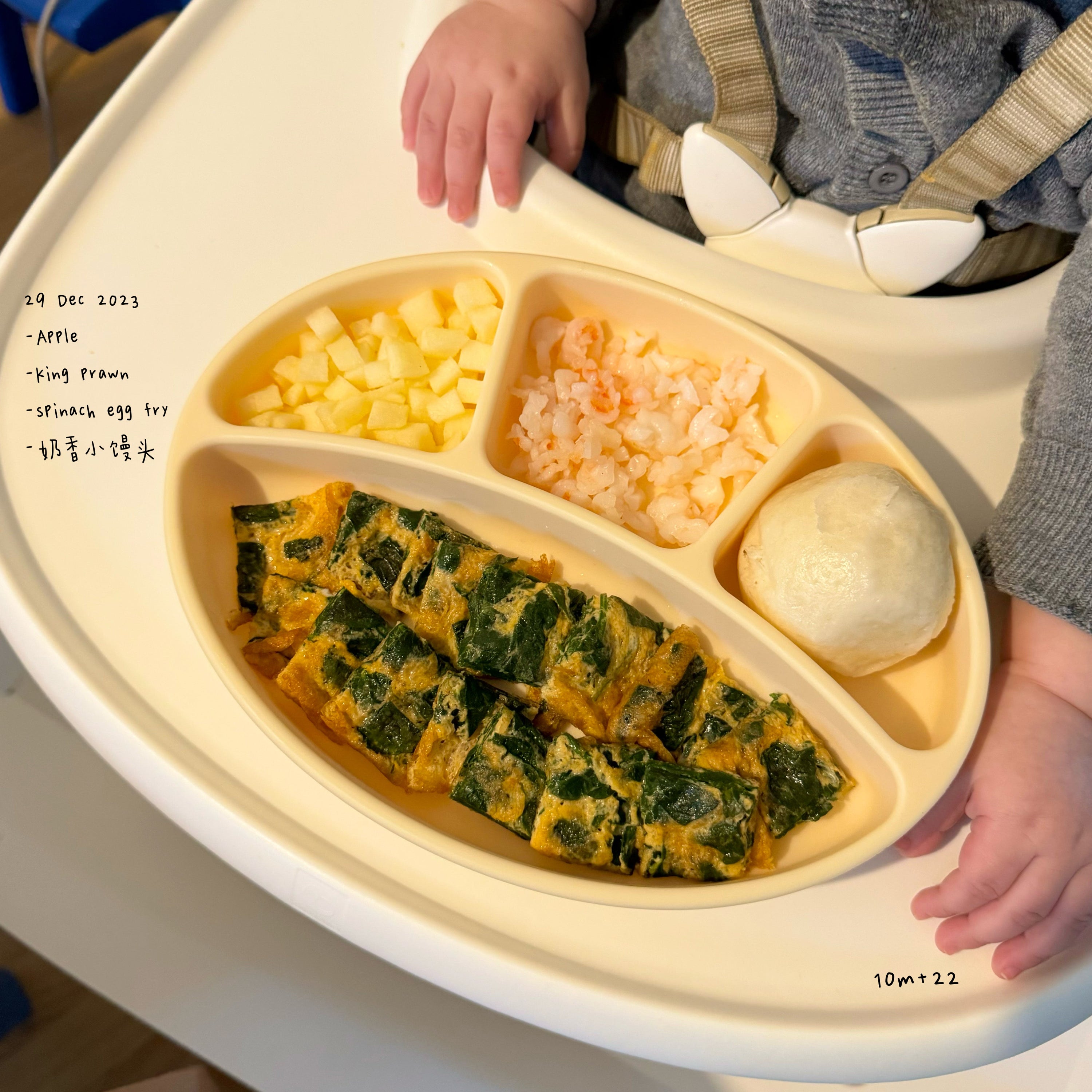 Loomie Daily Meal #14 – 10m Balanced Proteins & Veggie Goodness