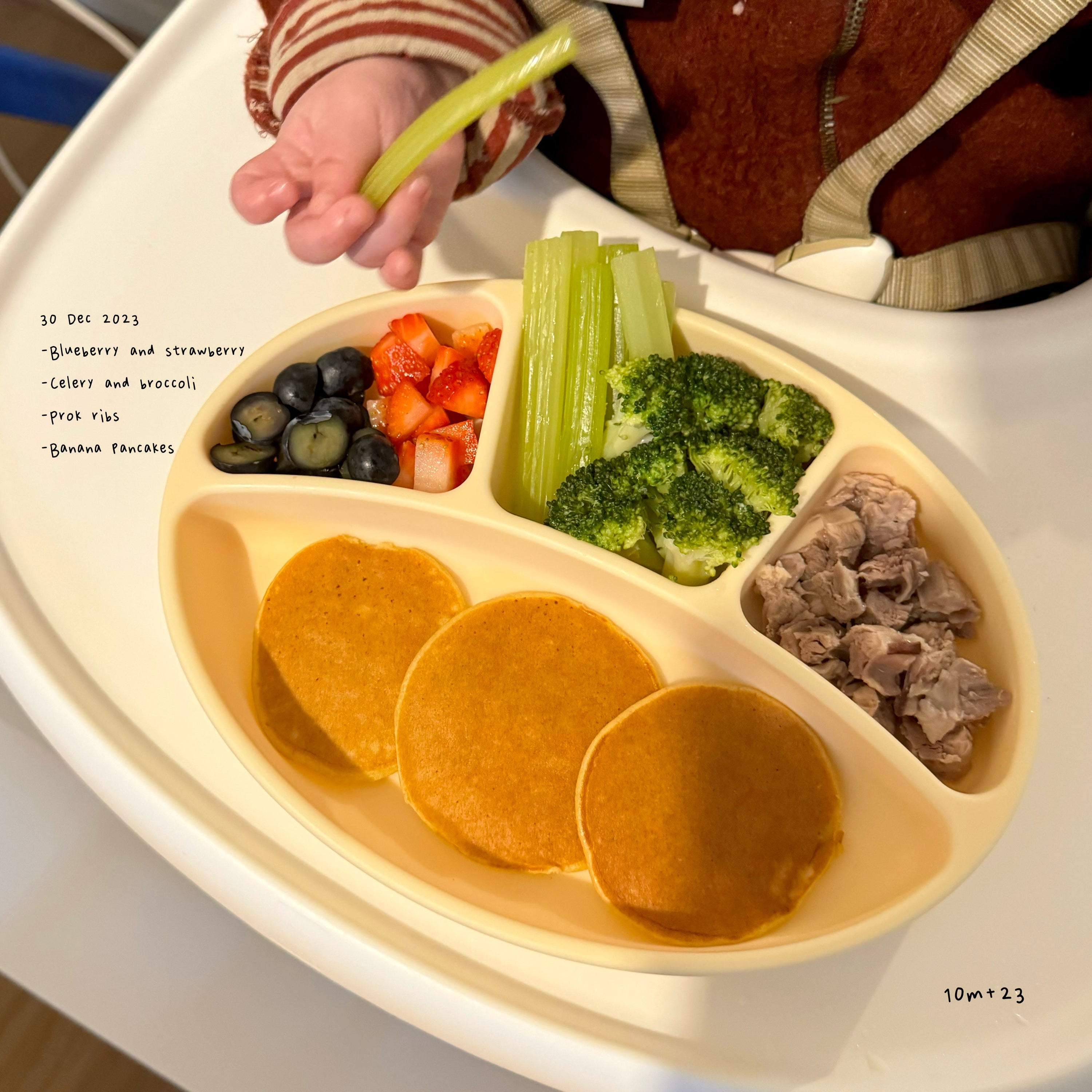 Loomie Daily Meal #15 – 10m Fresh Bites & Comfort Carbs