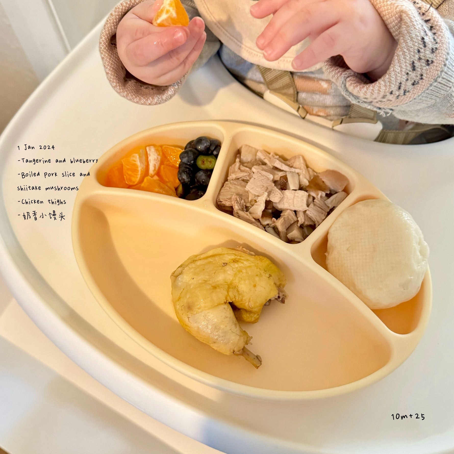 Loomie Daily Meal #17 – 10m Balanced Start to the Year
