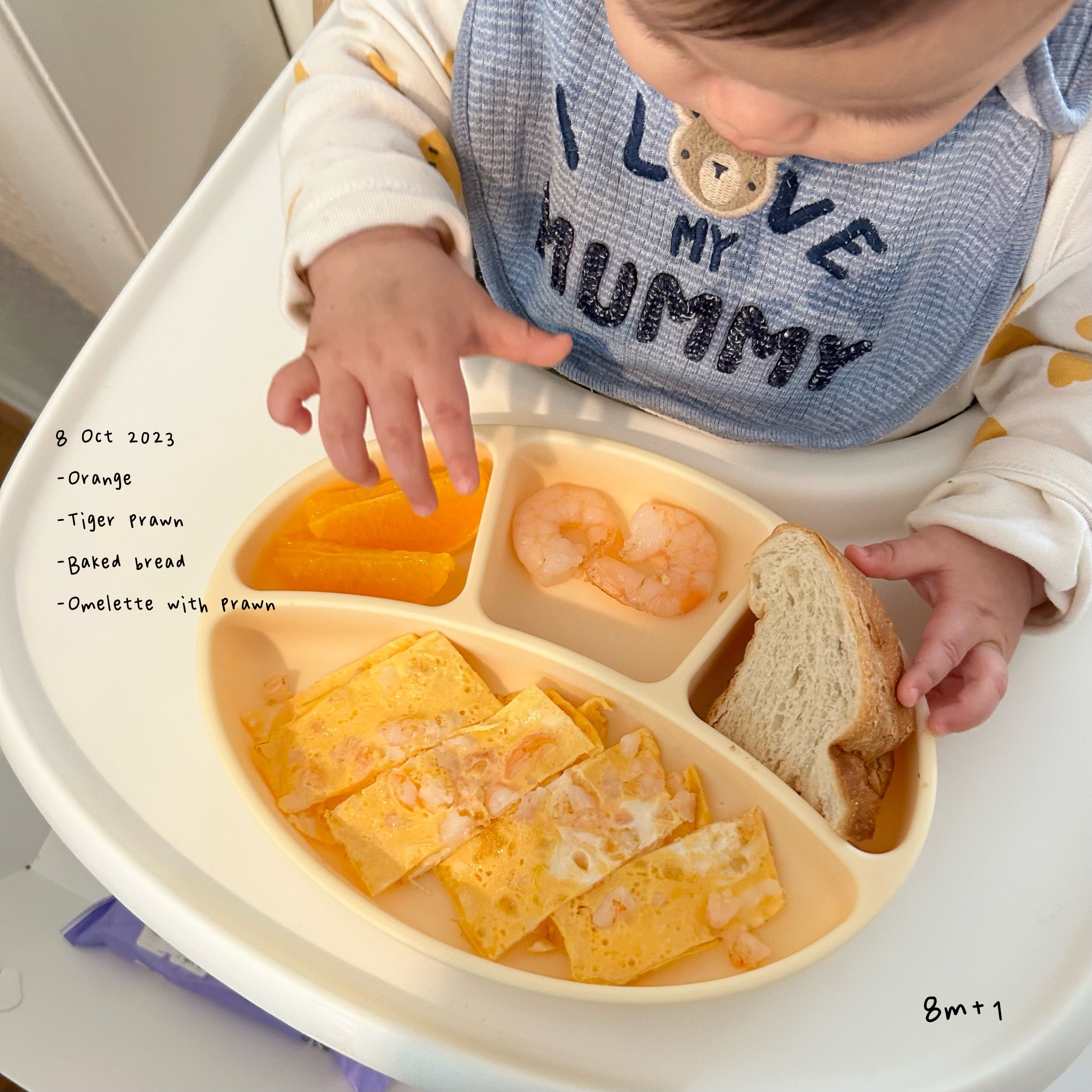 Loomie Daily Meal #02 - 8m+ Protein Bites & Citrus Boost