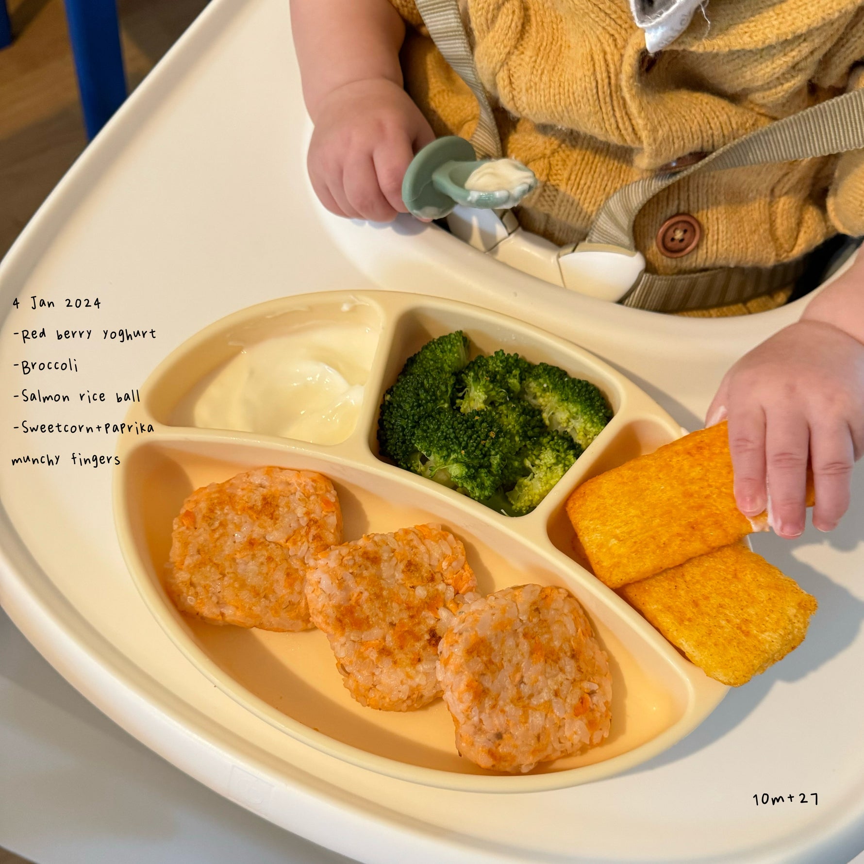 Loomie Daily Meal #20 – 10m Nutritious Balance