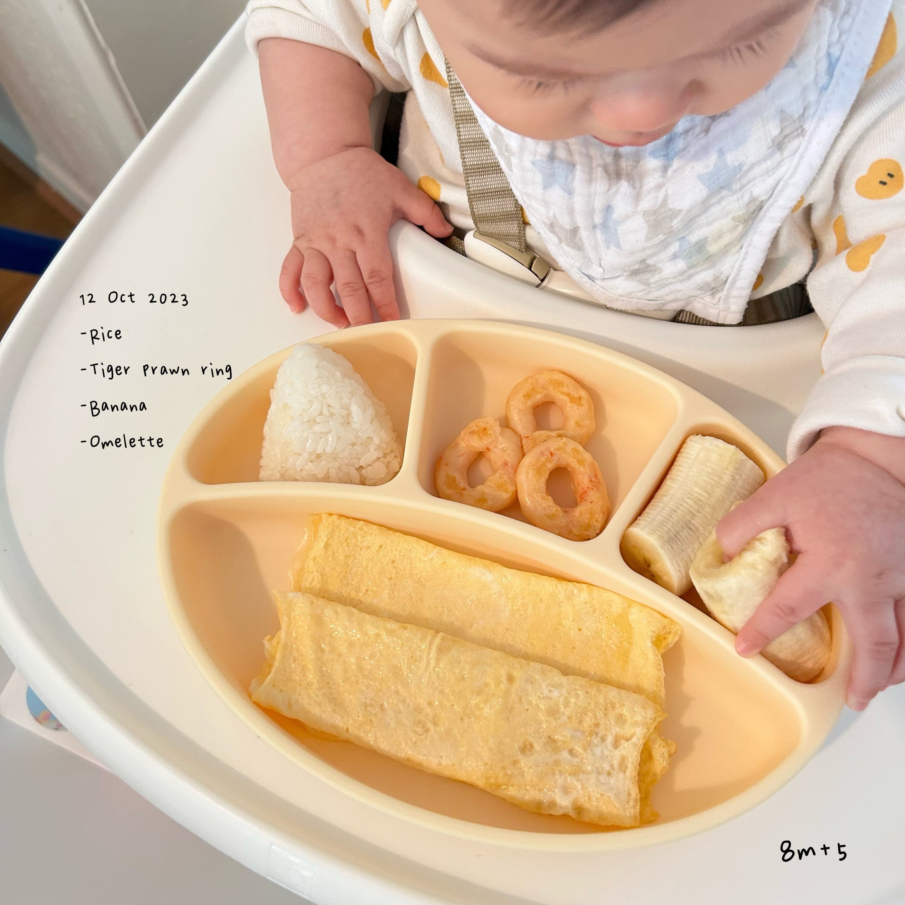 Loomie Daily Meal #05 - 8m+ Simple Grains & Gentle Proteins