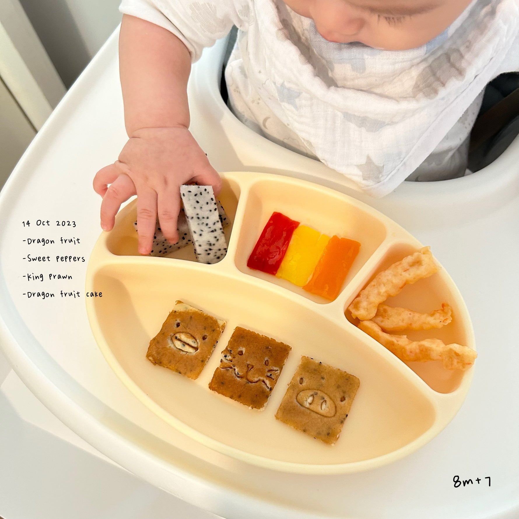 Loomie Daily Meal #07 - 8m+ Colorful Flavours & Playful Shapes