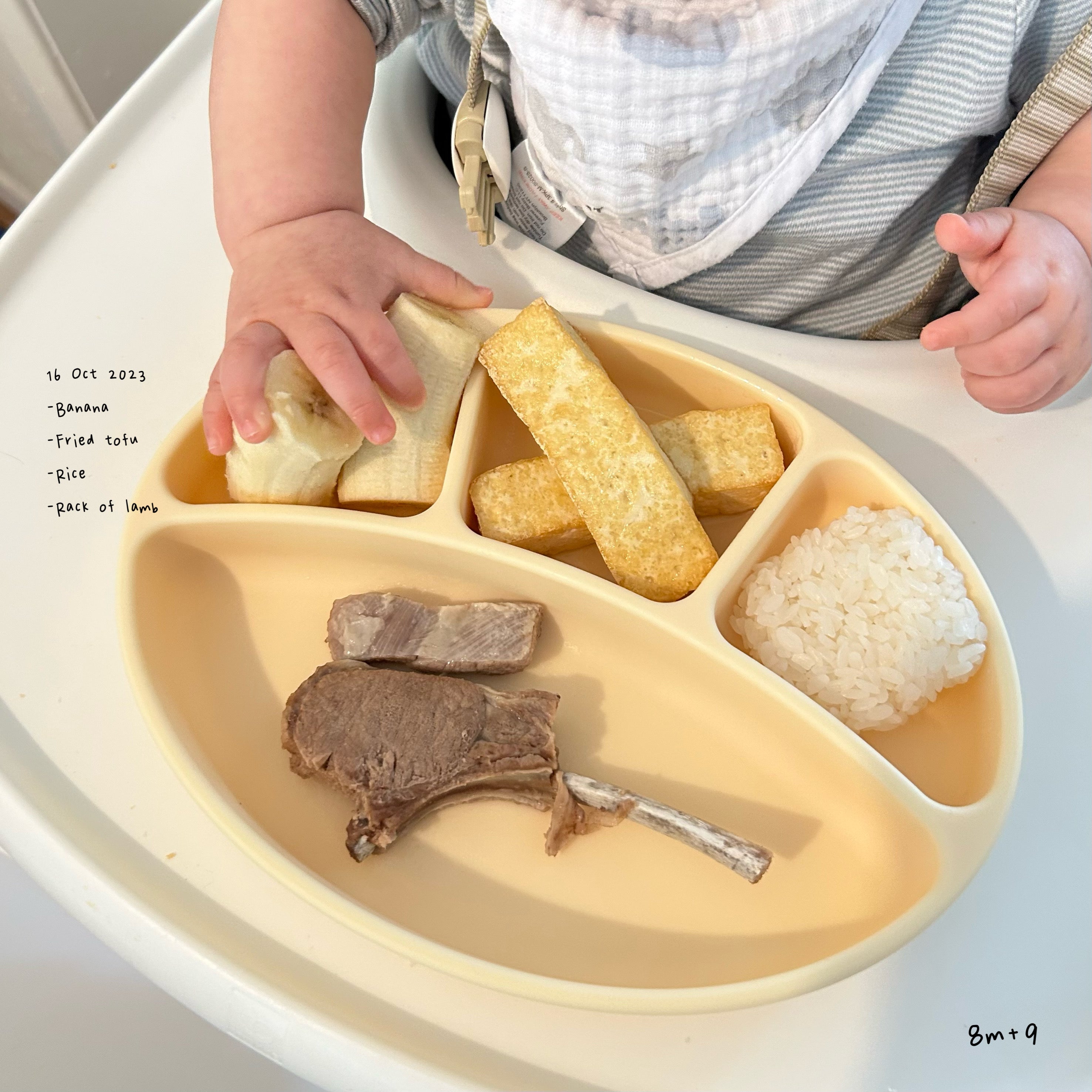 Loomie Daily Meal #09 - 8m+ Iron Boost & Gentle Textures