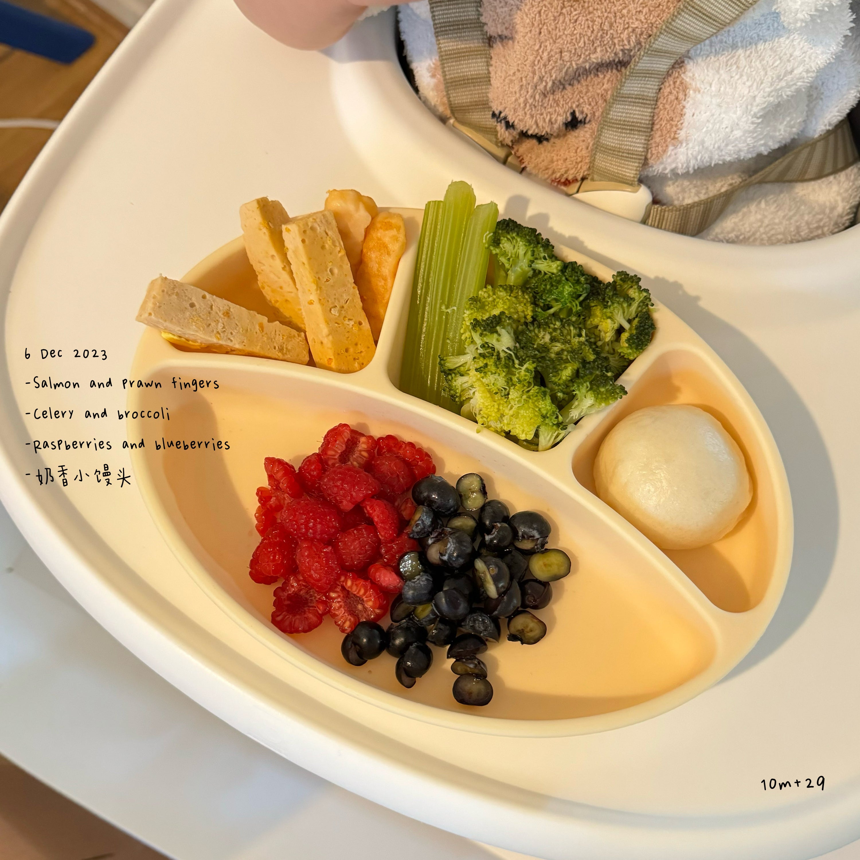 Loomie Daily Meal #21 – 10m Colourful Bites