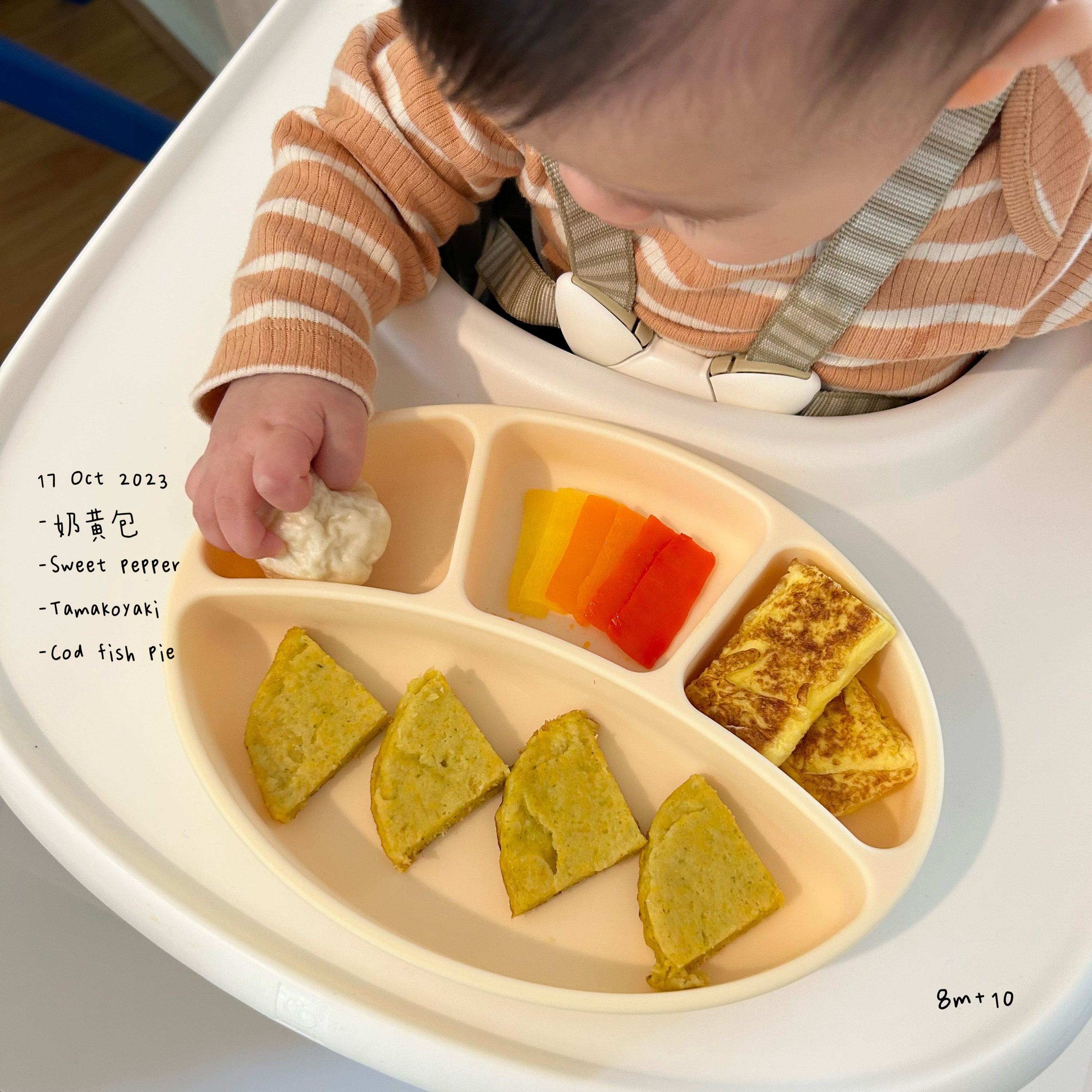 Loomie Daily Meal #10 - 8m+ Color & Variety on the Plate