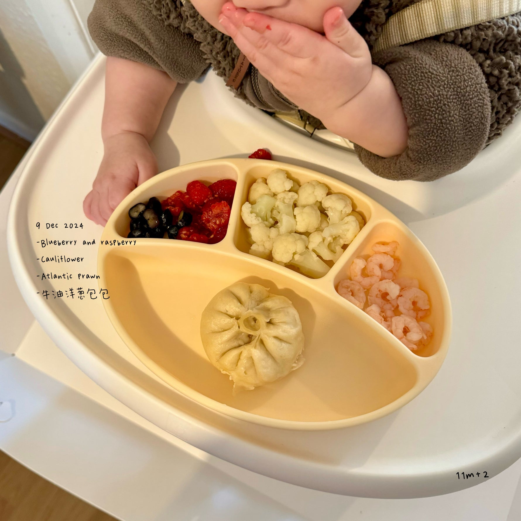 Loomie Daily Meal #04 – 11m Curious Tastes