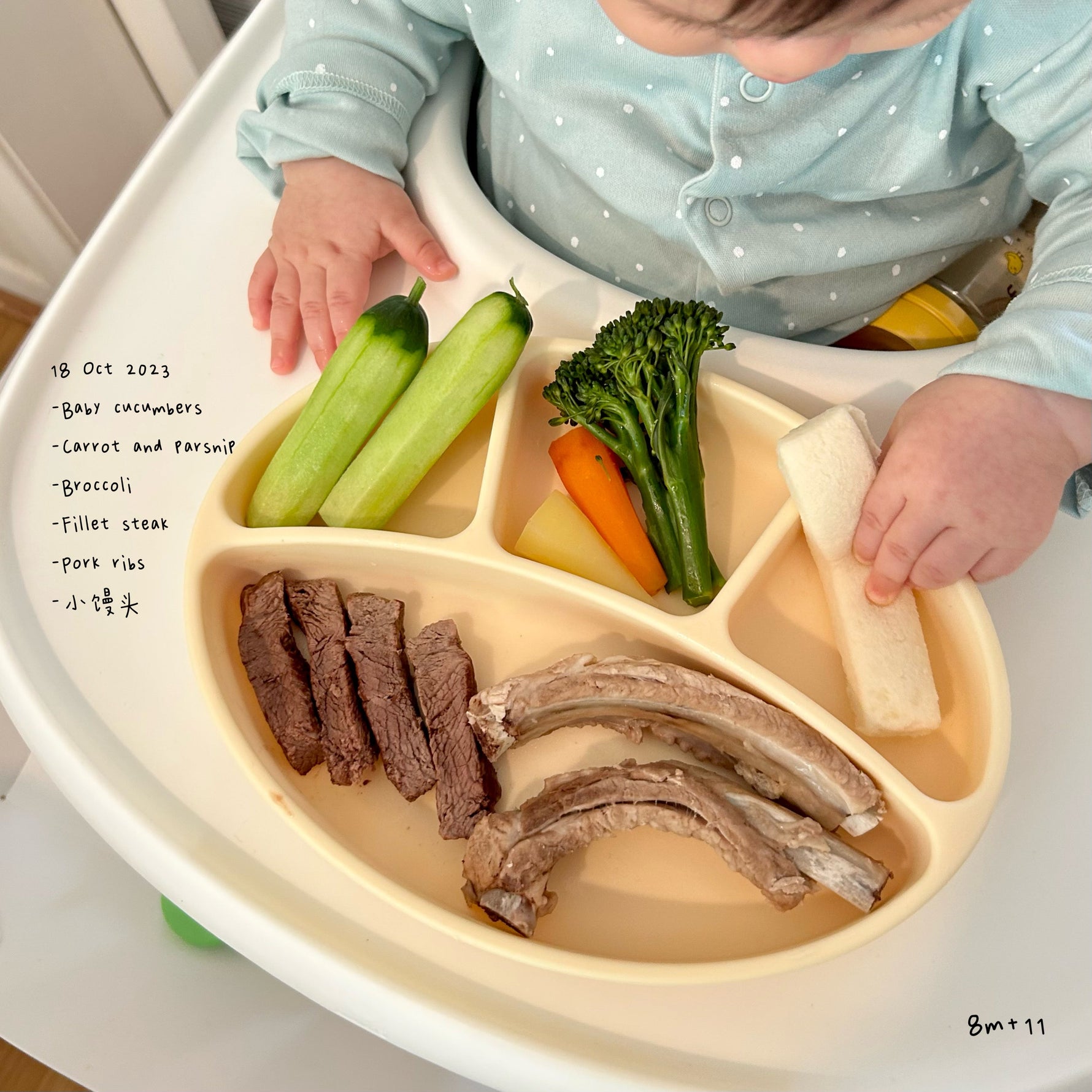 Loomie Daily Meal #11 - 8m+ Power Proteins &amp; Crunchy Colors