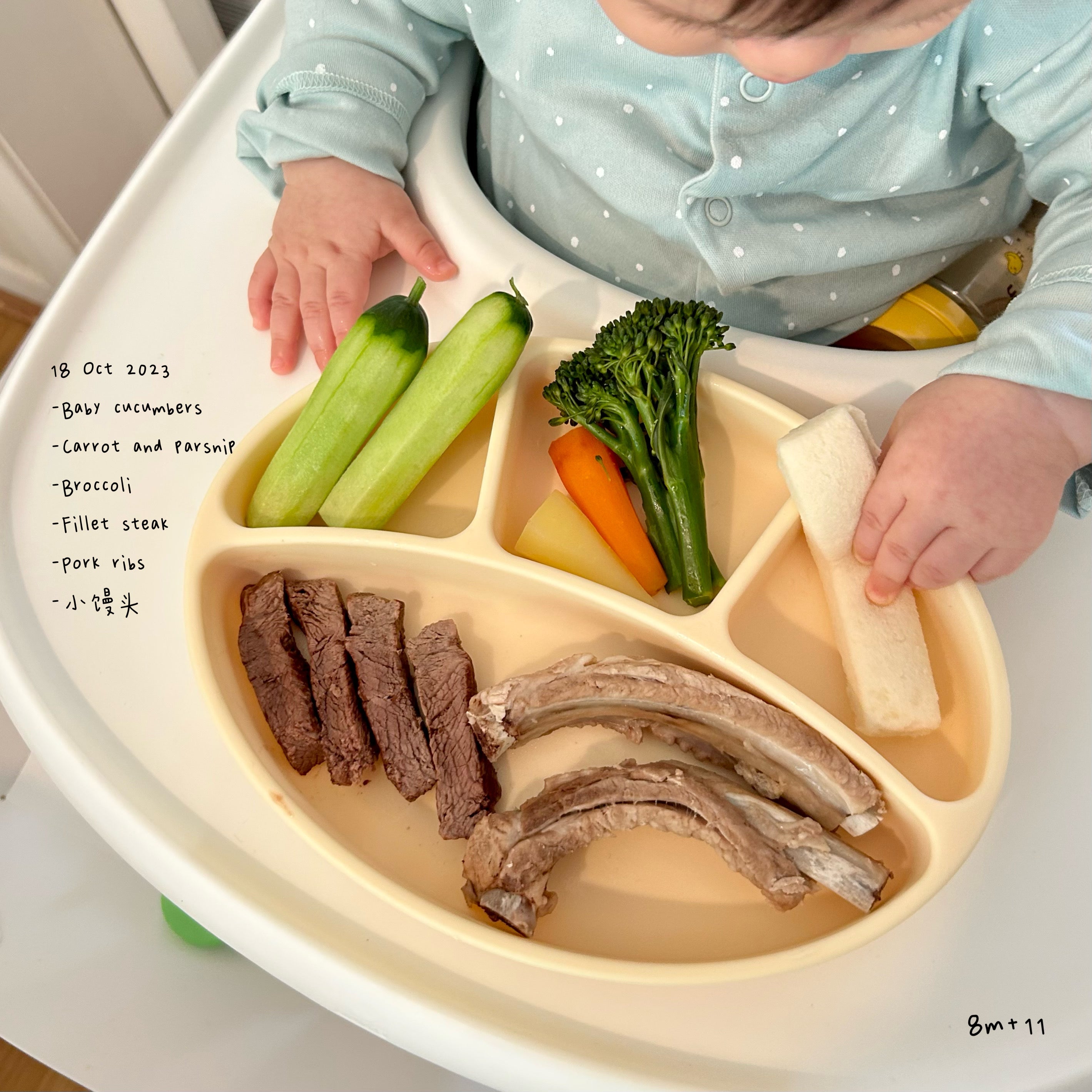 Loomie Daily Meal #11 - 8m+ Power Proteins &amp; Crunchy Colors