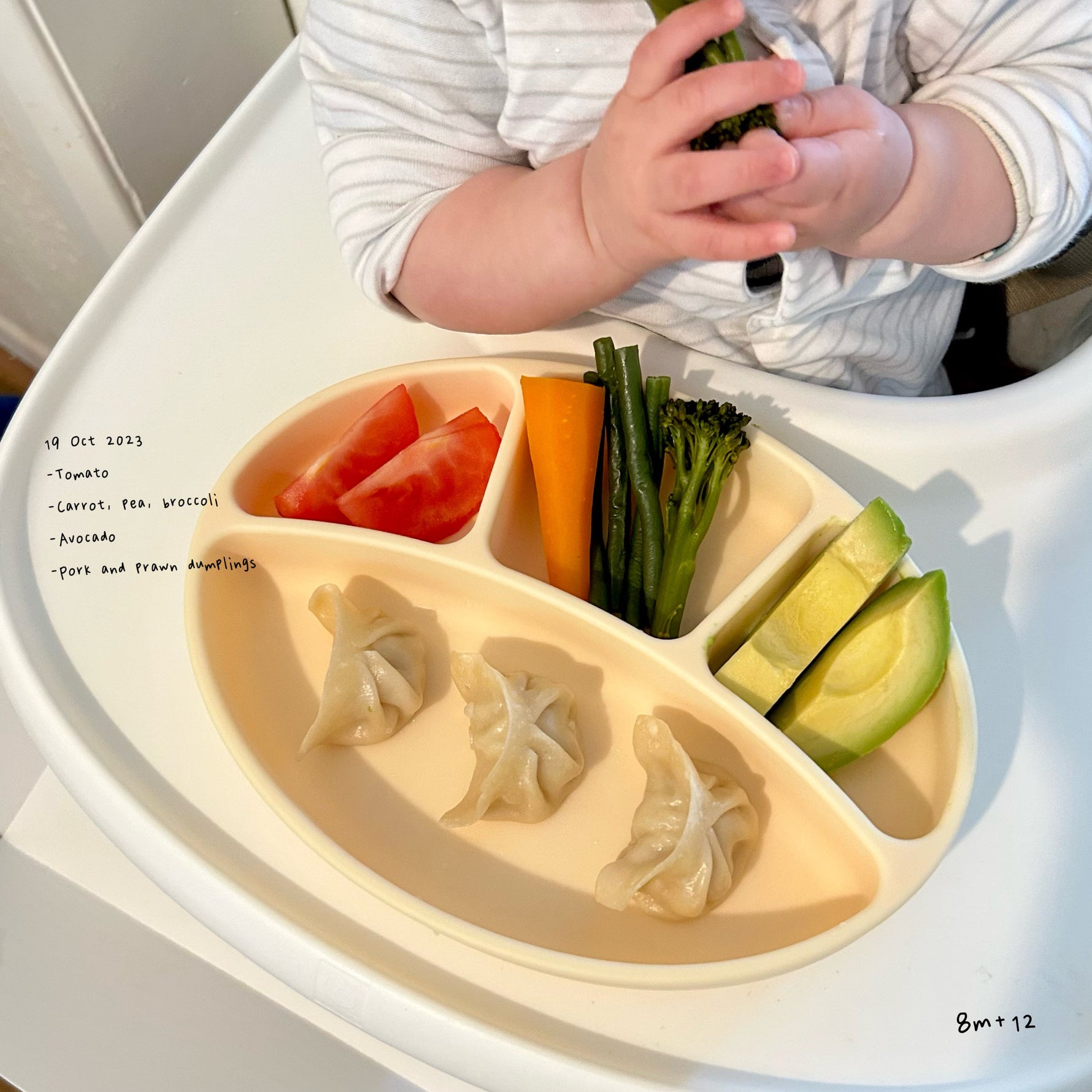 Loomie Daily Meal #12 - 8m+ Dumpling Delight & Veggie Colors