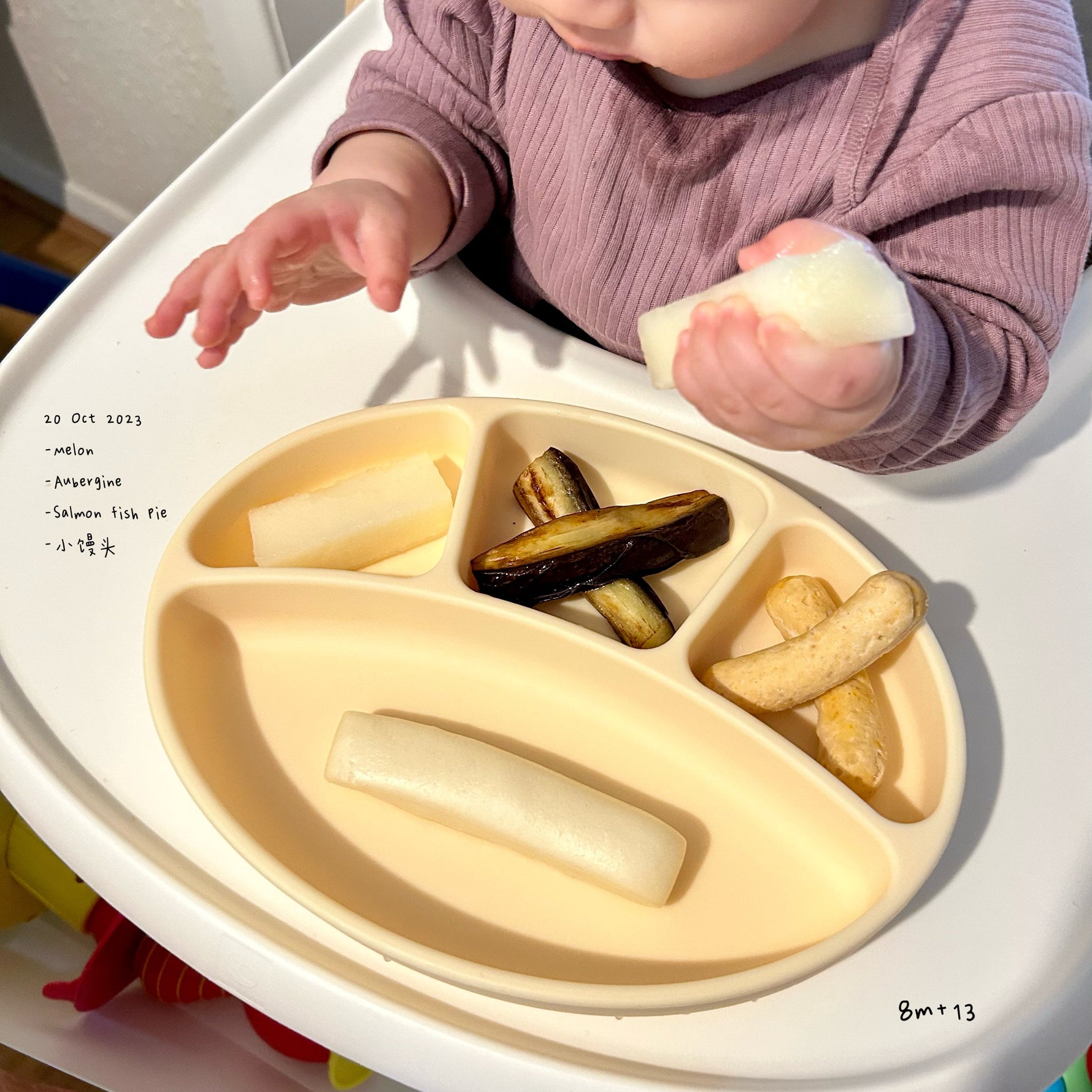 Loomie Daily Meal #13 - 8m+ Gentle Flavors & Easy Grabs
