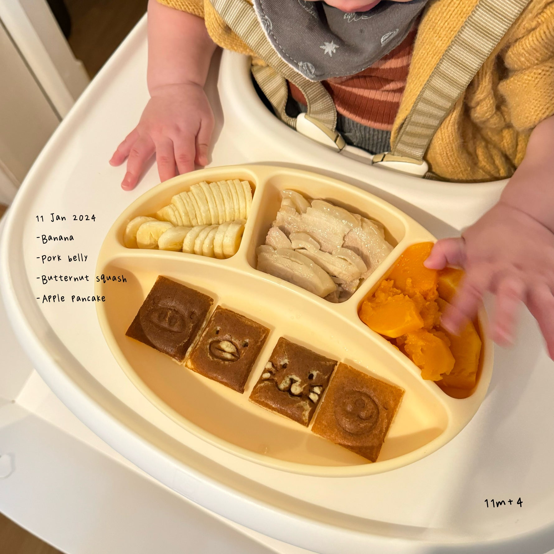 Loomie Daily Meal #06 – 11m Flavours & Textures