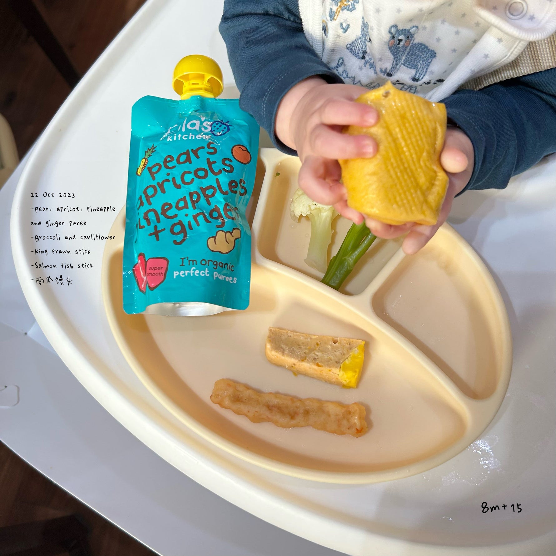 Loomie Daily Meal #15 - 8m+ Gentle Bites & Fresh Flavours