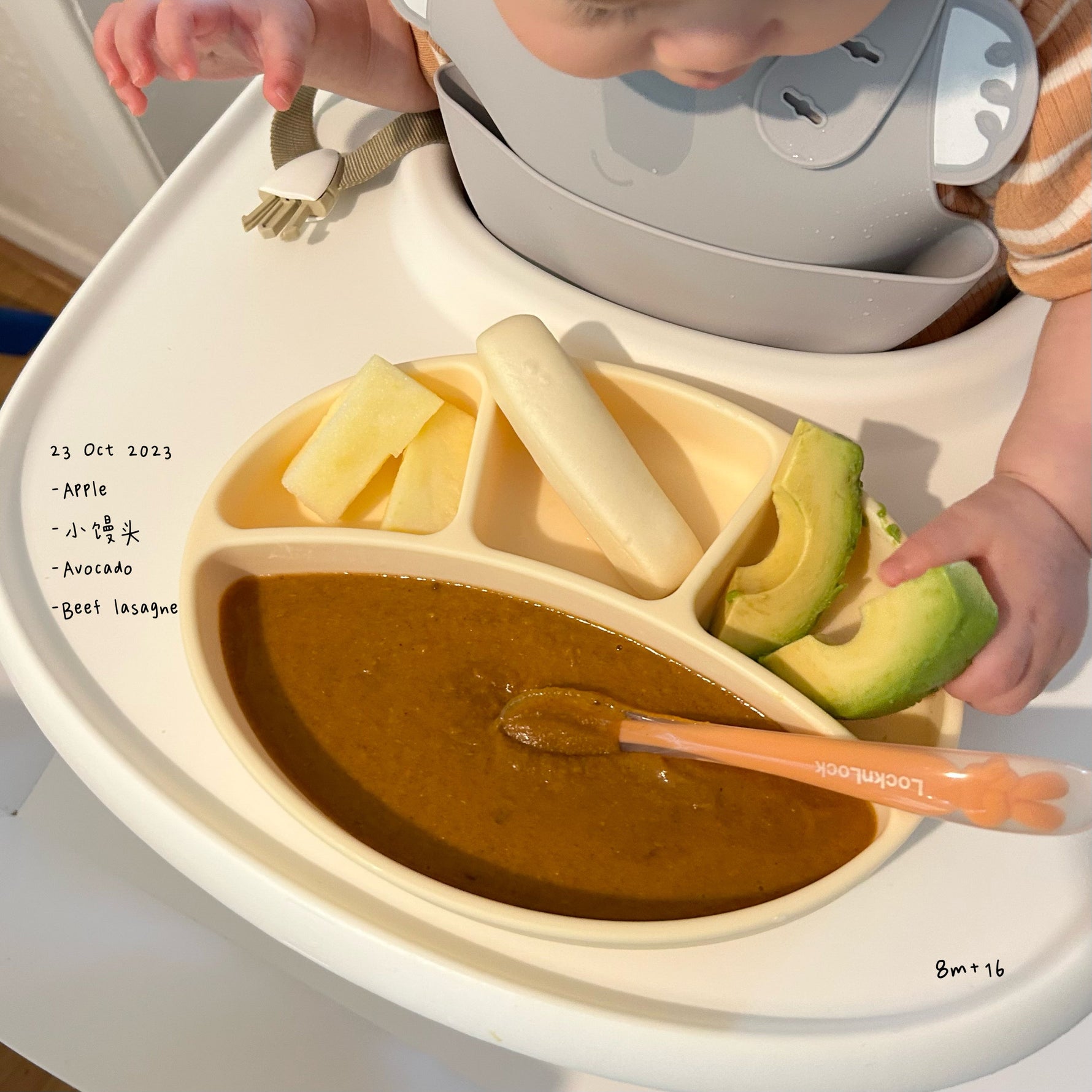 Loomie Daily Meal #16 - 8m+ Cozy Comfort & Nutritious Variety
