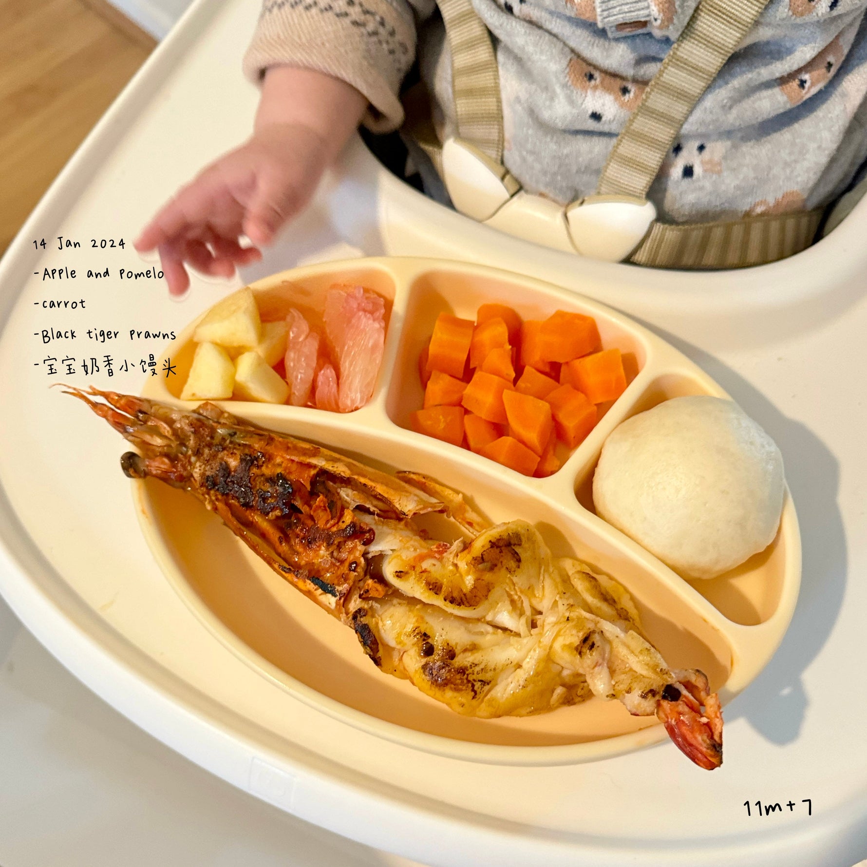 Loomie Daily Meal #08 – 11m Bold Flavours & Textures