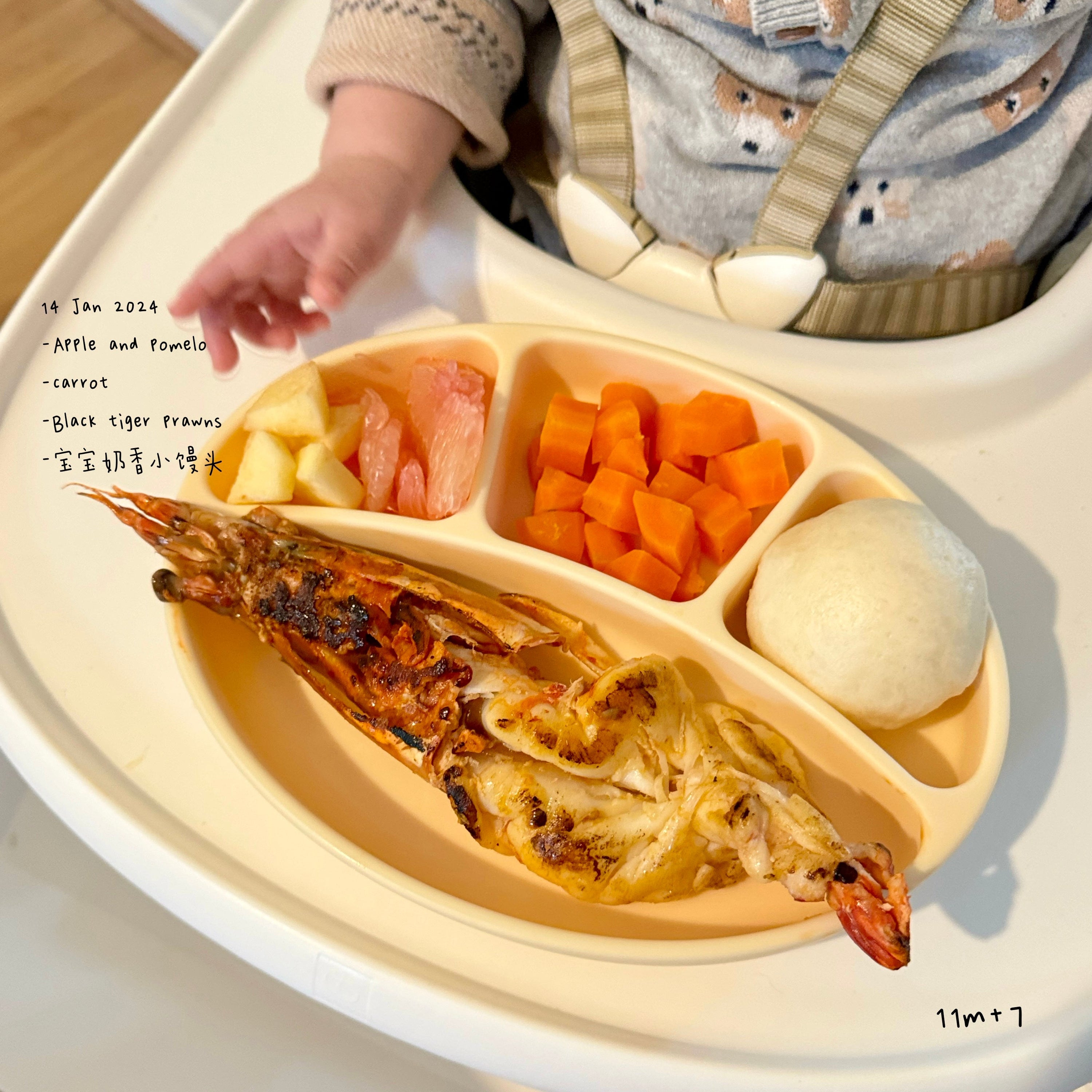 Loomie Daily Meal #08 – 11m Bold Flavours & Textures