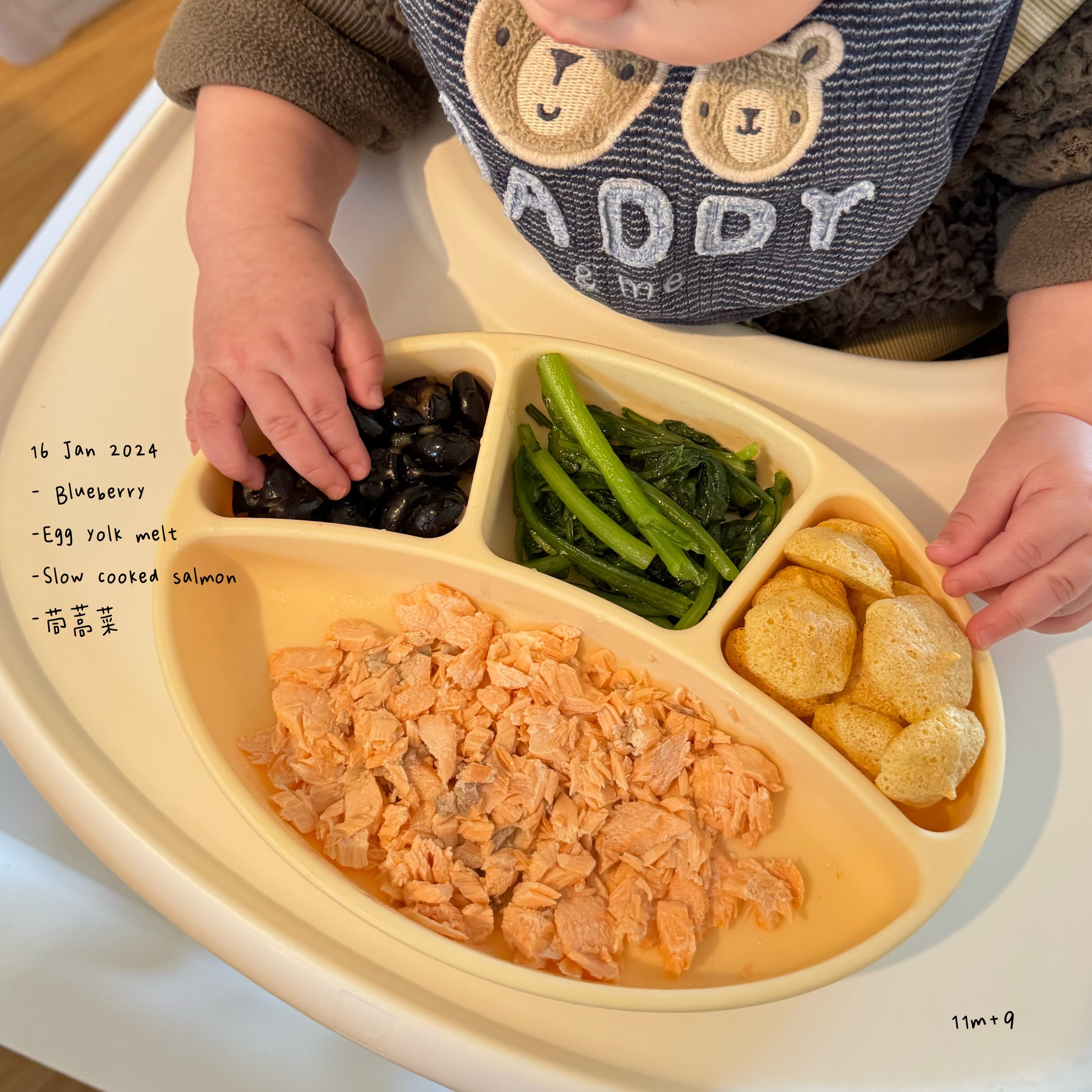 Loomie Daily Meal #10 – 11m Omega Power Plate