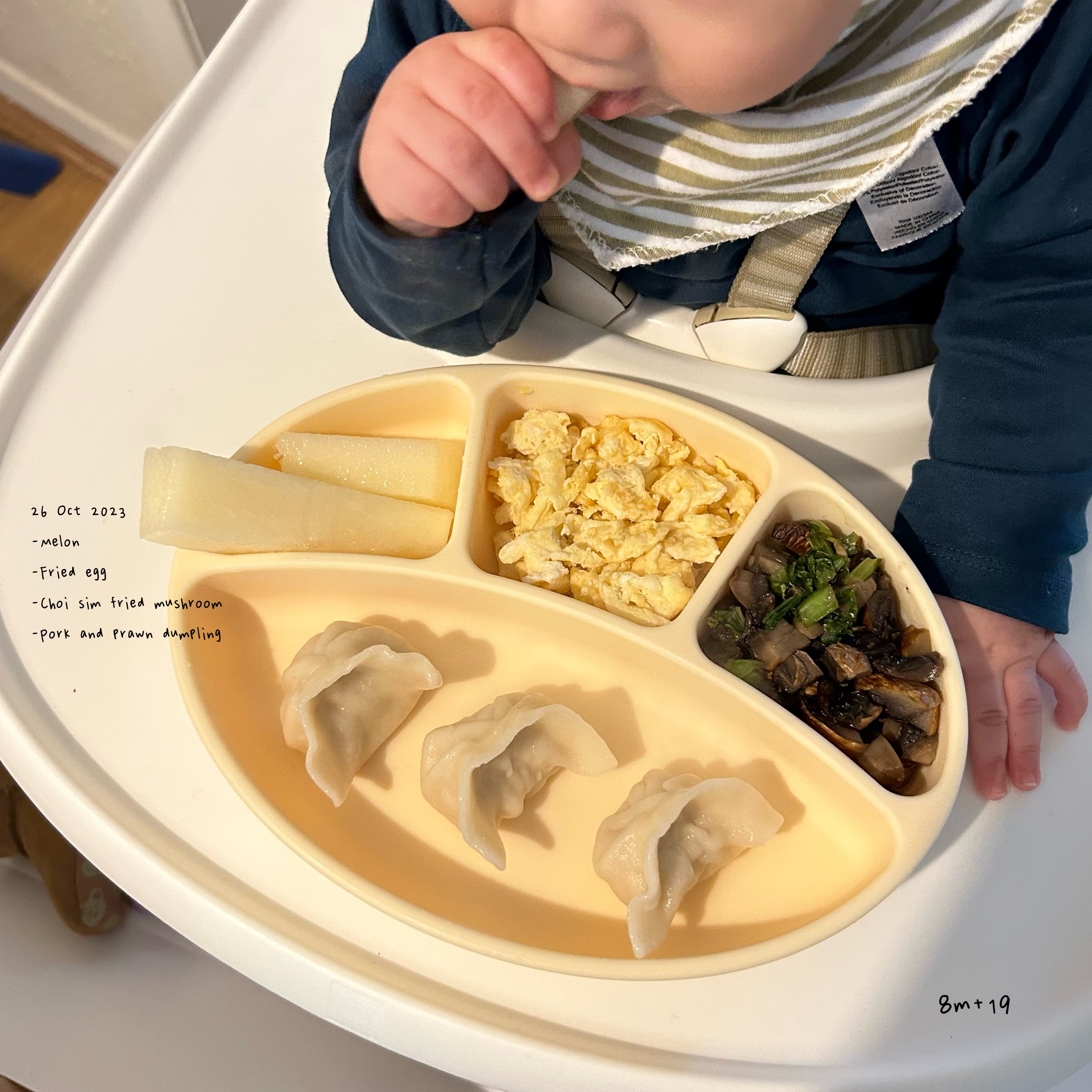 Loomie Daily Meal #19 - 8m+ Savory & Satisfying