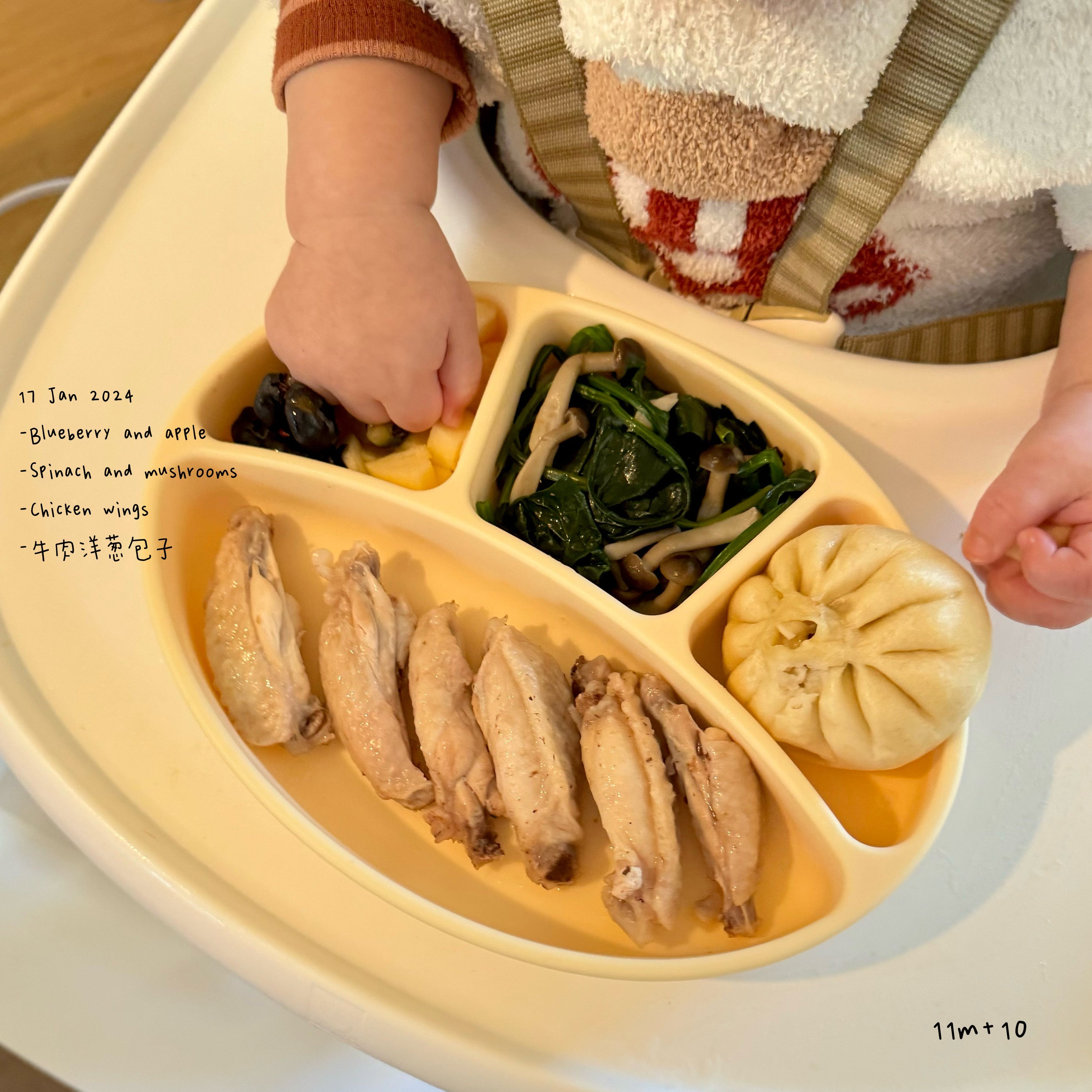 Loomie Daily Meal #11 – 11m Comfort & Strength Plate