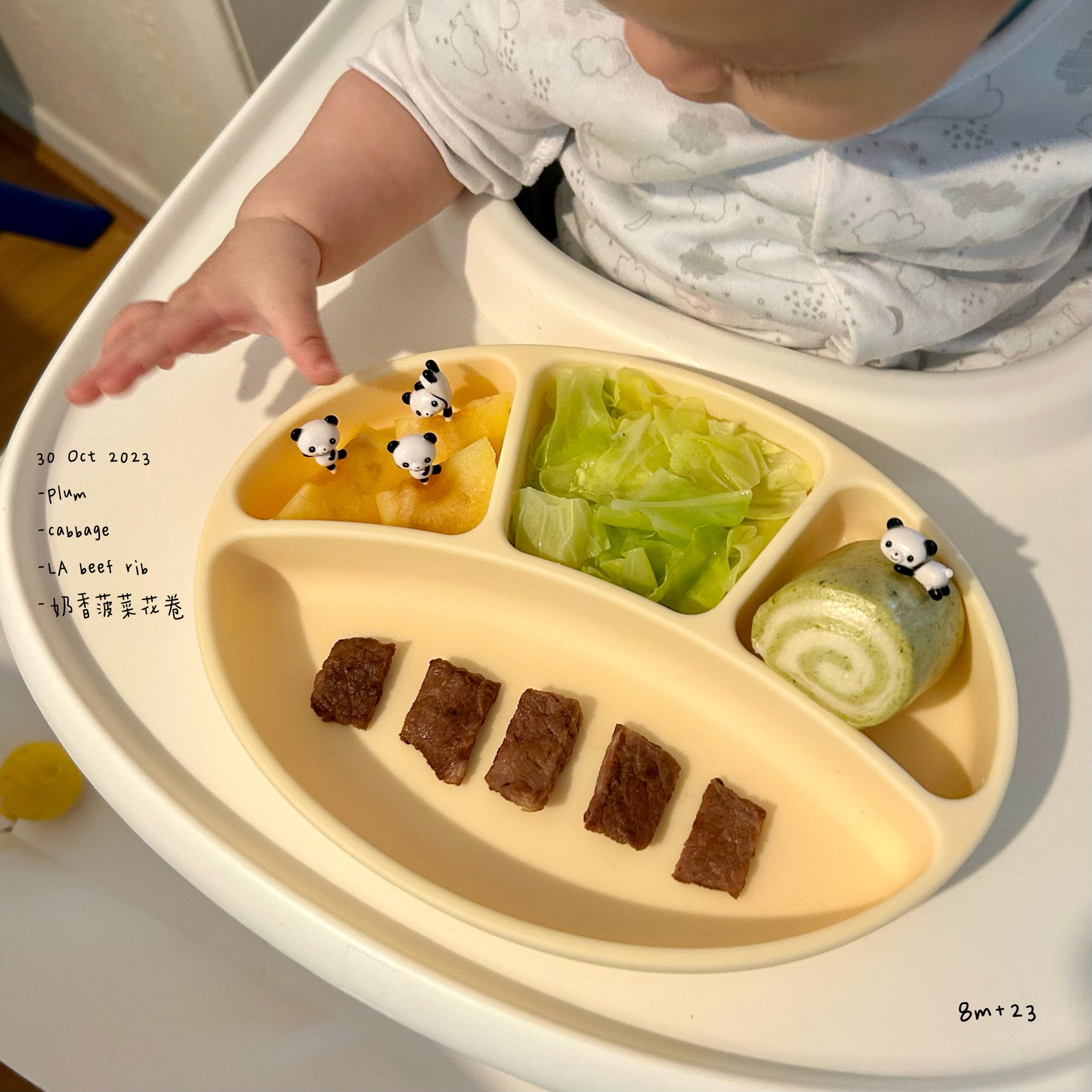 Loomie Daily Meal #23 - 8m+ Wholesome Bites & Gentle Textures