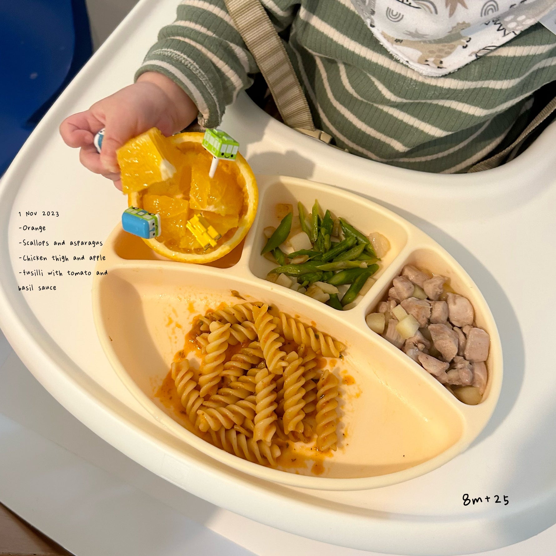 Loomie Daily Meal #25 - 8m+ Mediterranean Flavours