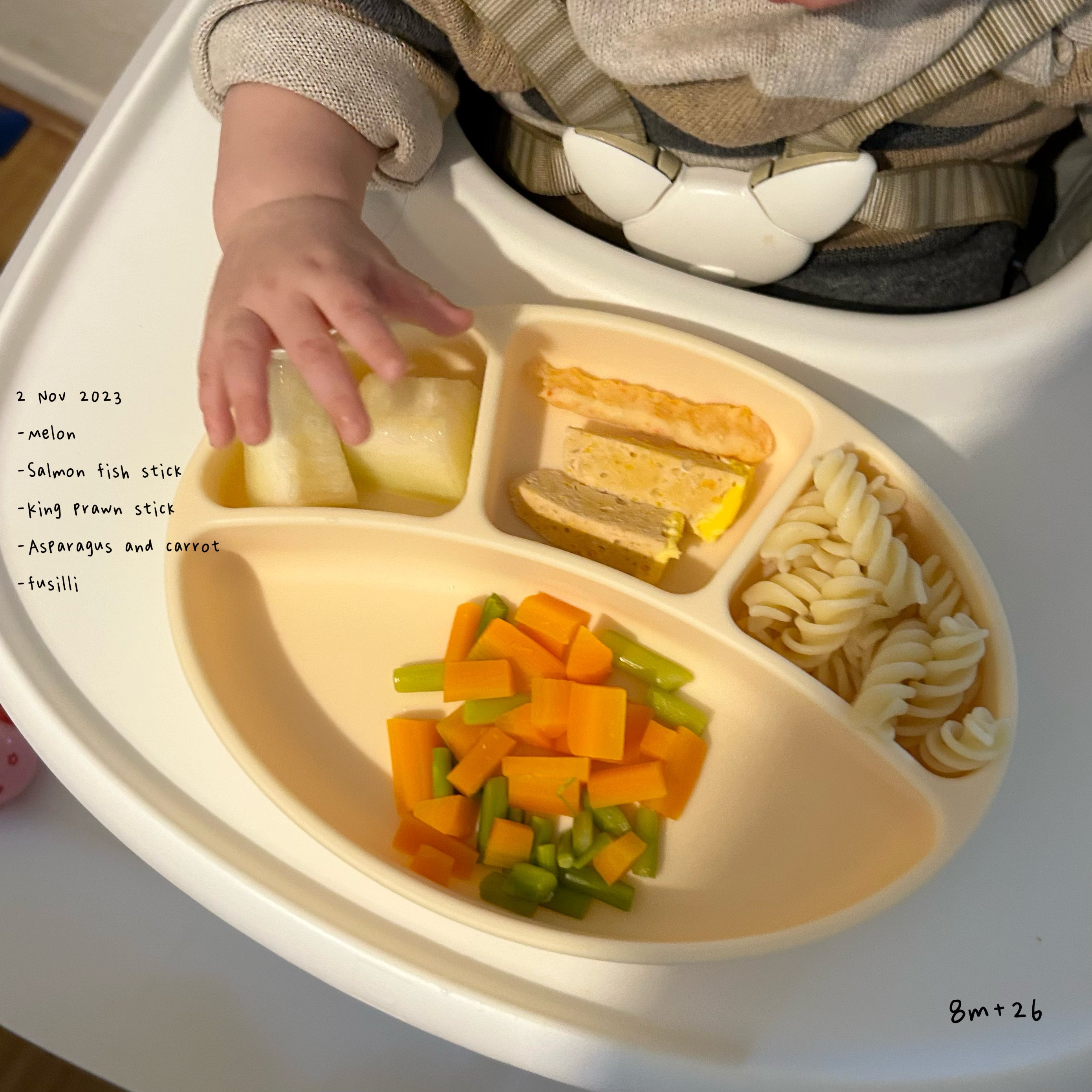 Loomie Daily Meal #26 - 8m+ Colorful Balance