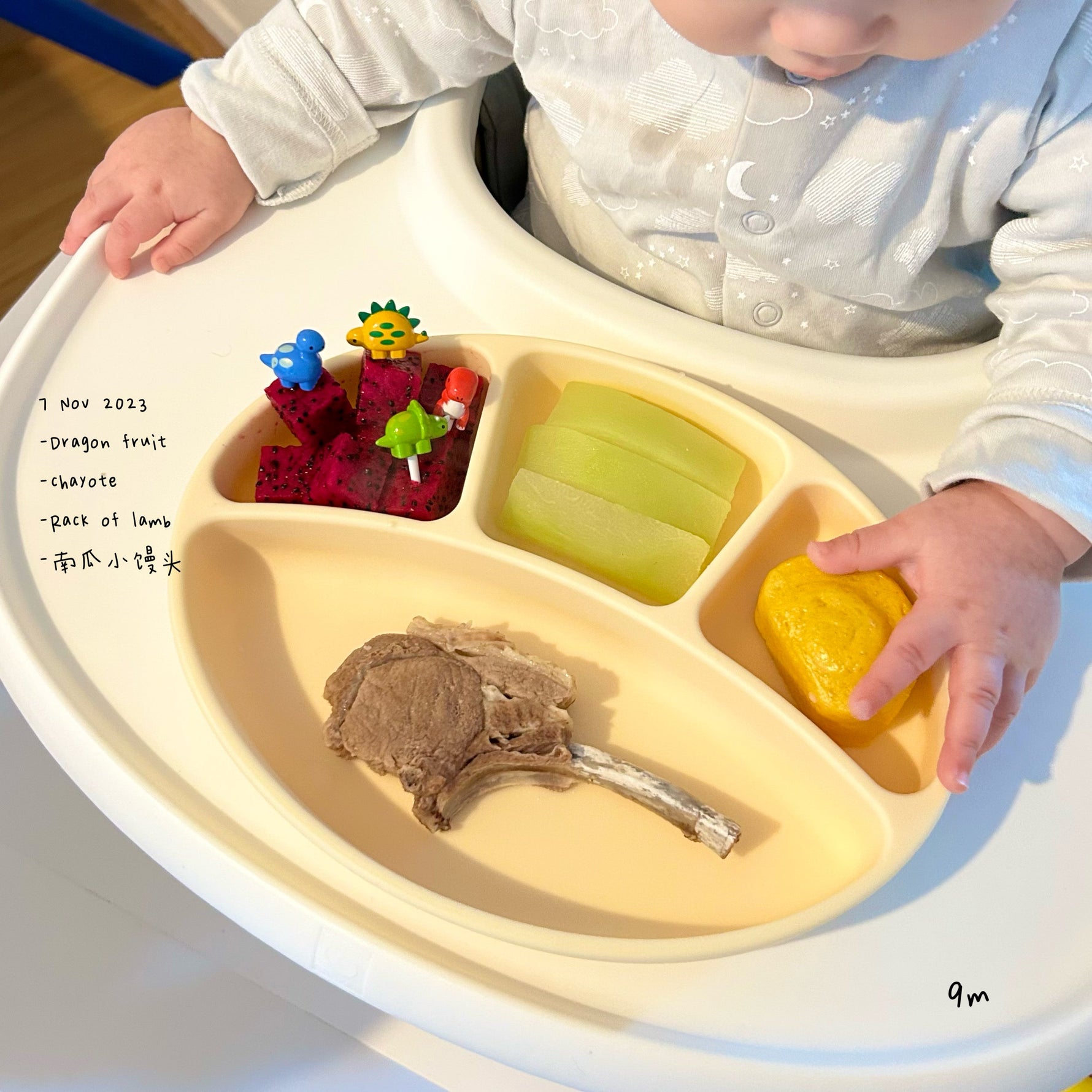 Loomie Daily Meal #01 - 9m Growing Bites & Bold Flavors