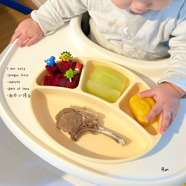 Loomie Daily Meal #01 - 9m Growing Bites & Bold Flavors